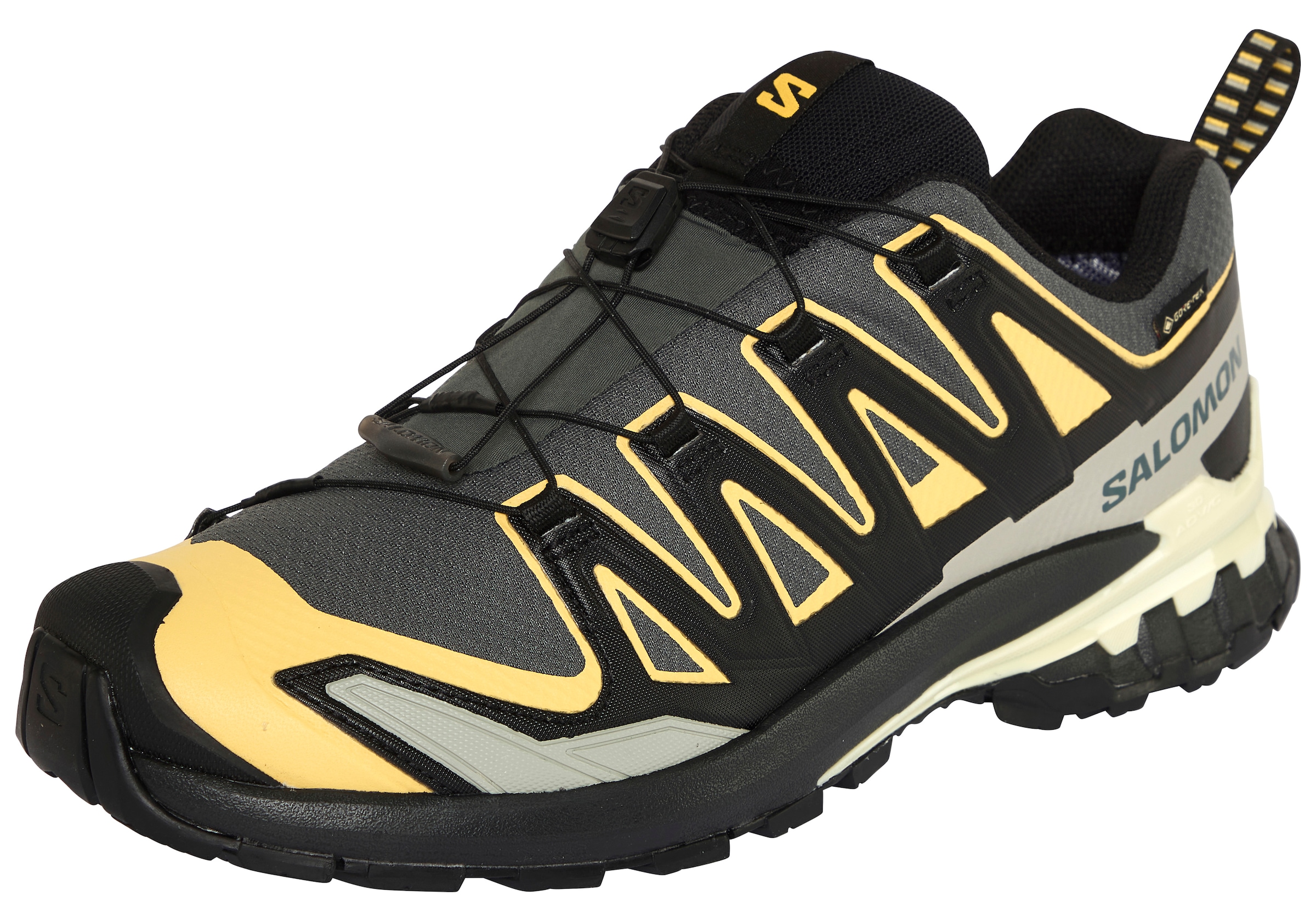 Salomon Laufschuh "XA PRO 3D V9 GORE-TEX" wasserdicht günstig online kaufen