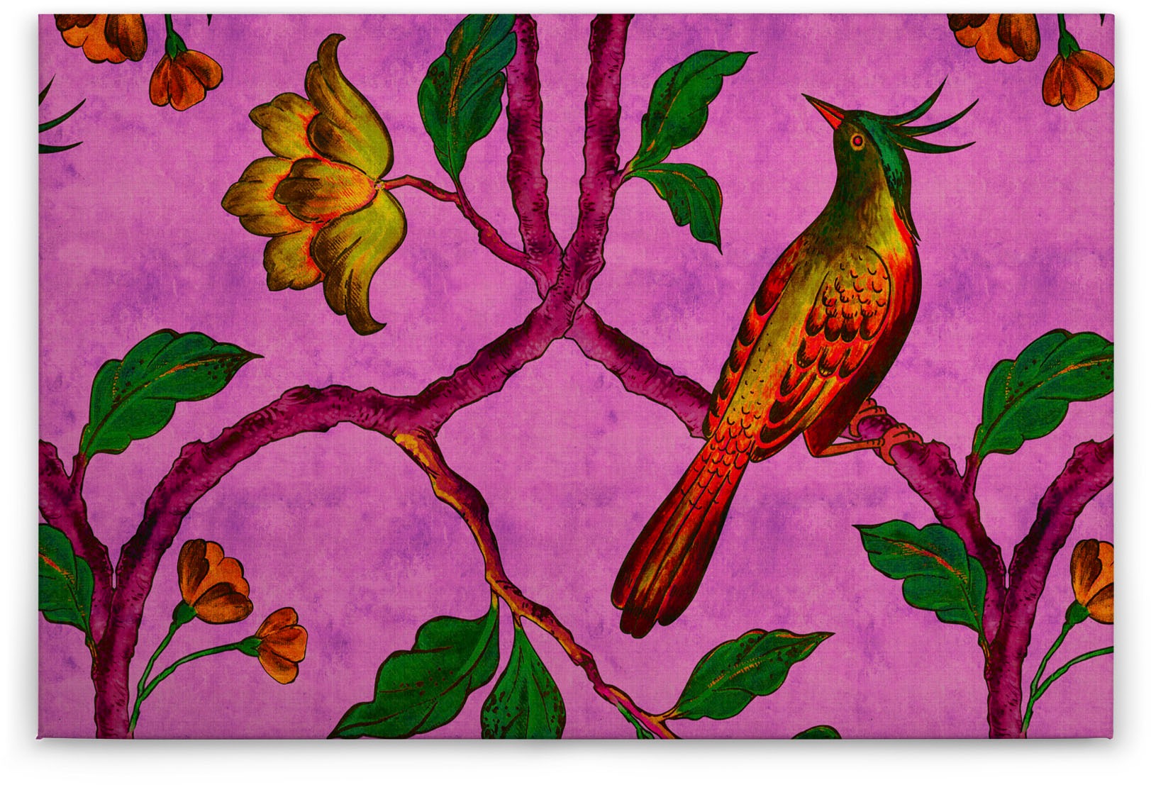 A.S. Création Leinwandbild »bird of paradise«, Kunst-Vögel-Kinder, (1 St.), Keilrahmen Bild Vogel Bunt Leinwand-Bild Wohnzimmer modern Wandbild