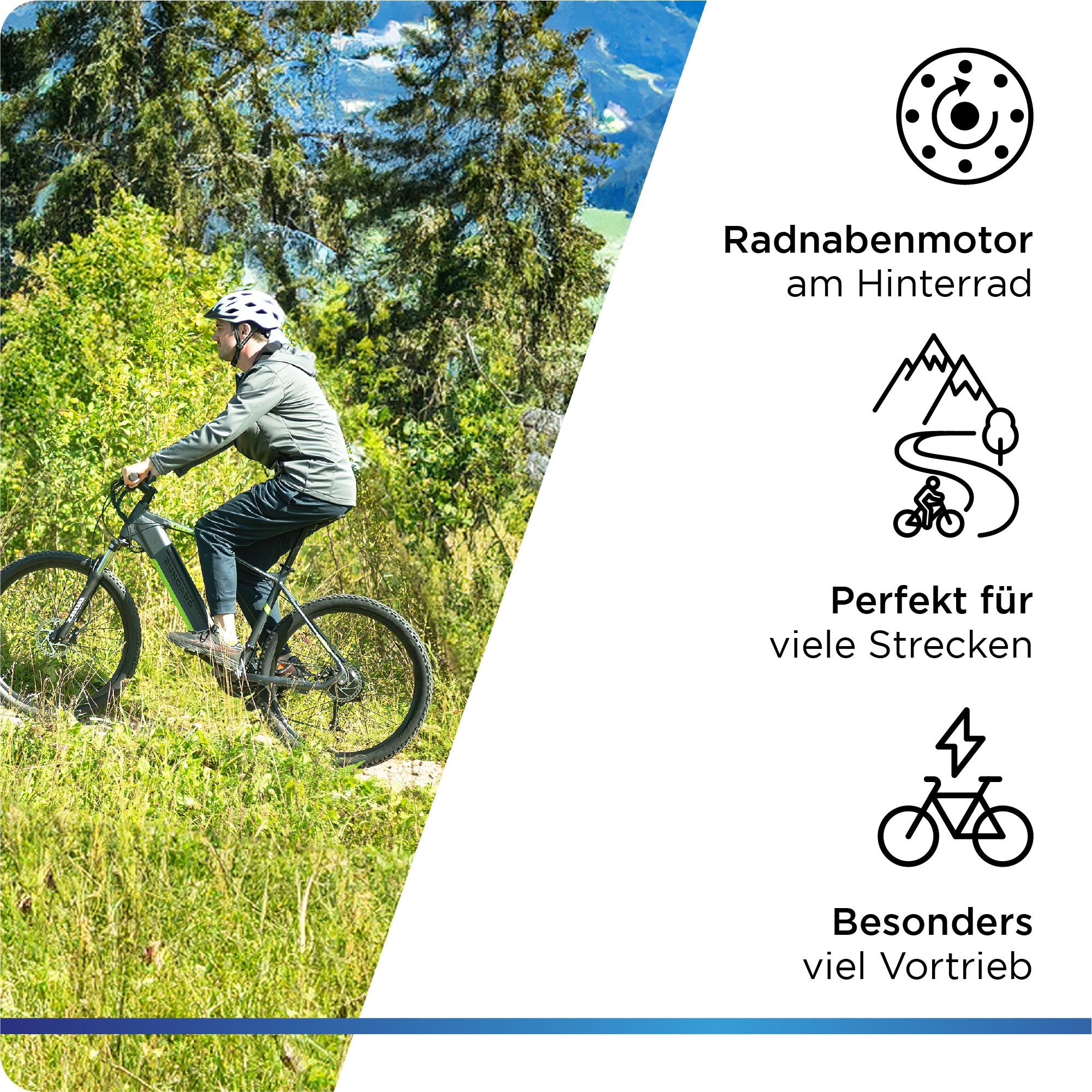 Zündapp E-Bike »Z808«, 24 Gang, Alivio, Heckmotor 250 W, Pedelec, Elektrofahrrad für Damen u. Herren, MTB