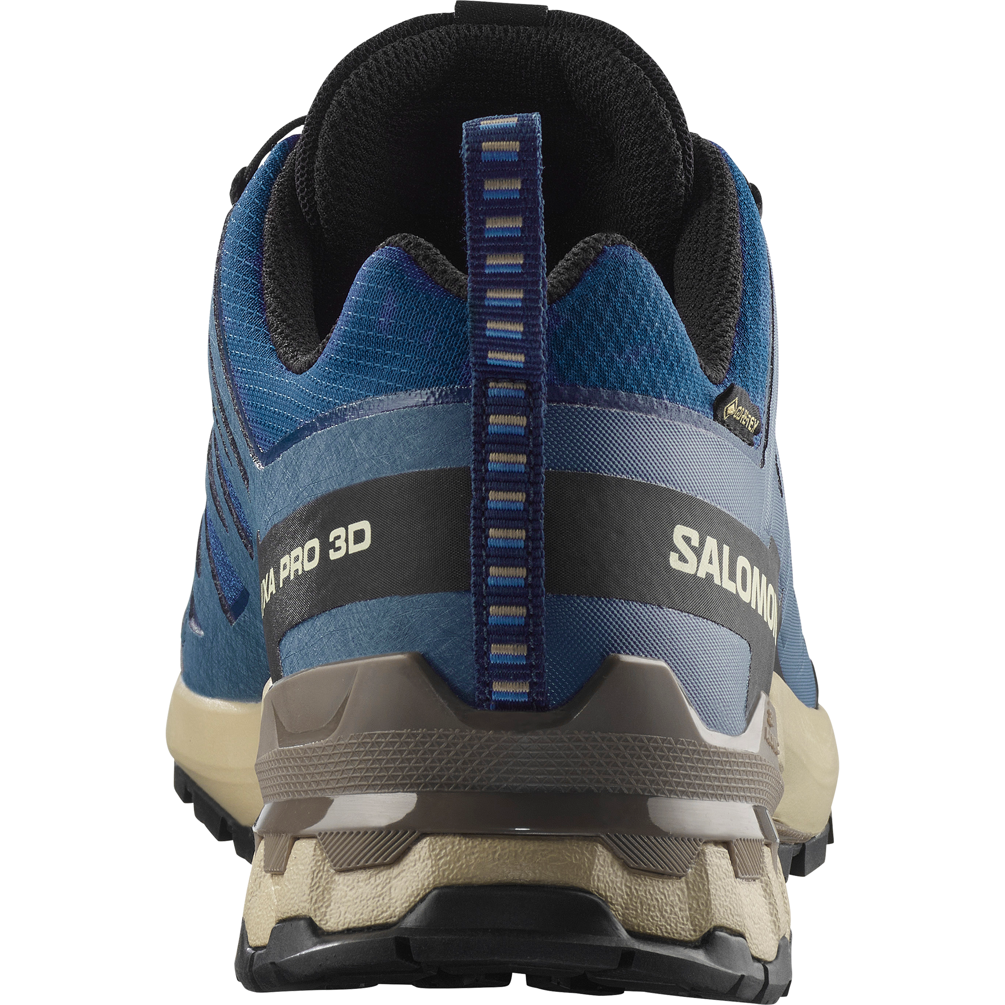 Salomon Trailrunningschuh »XA PRO 3D V9 GORE-TEX«, wasserdicht