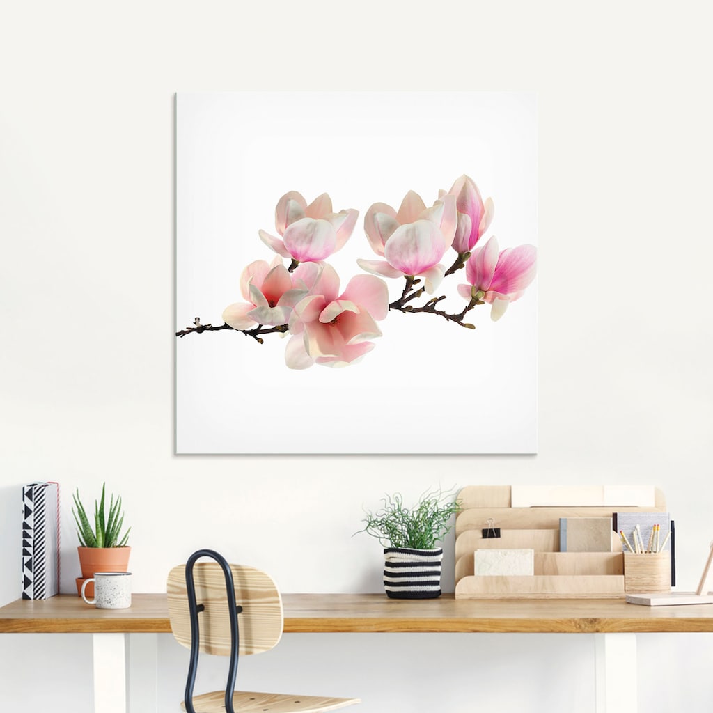 Artland Glasbild »Magnolie«, Blumen, (1 St.)