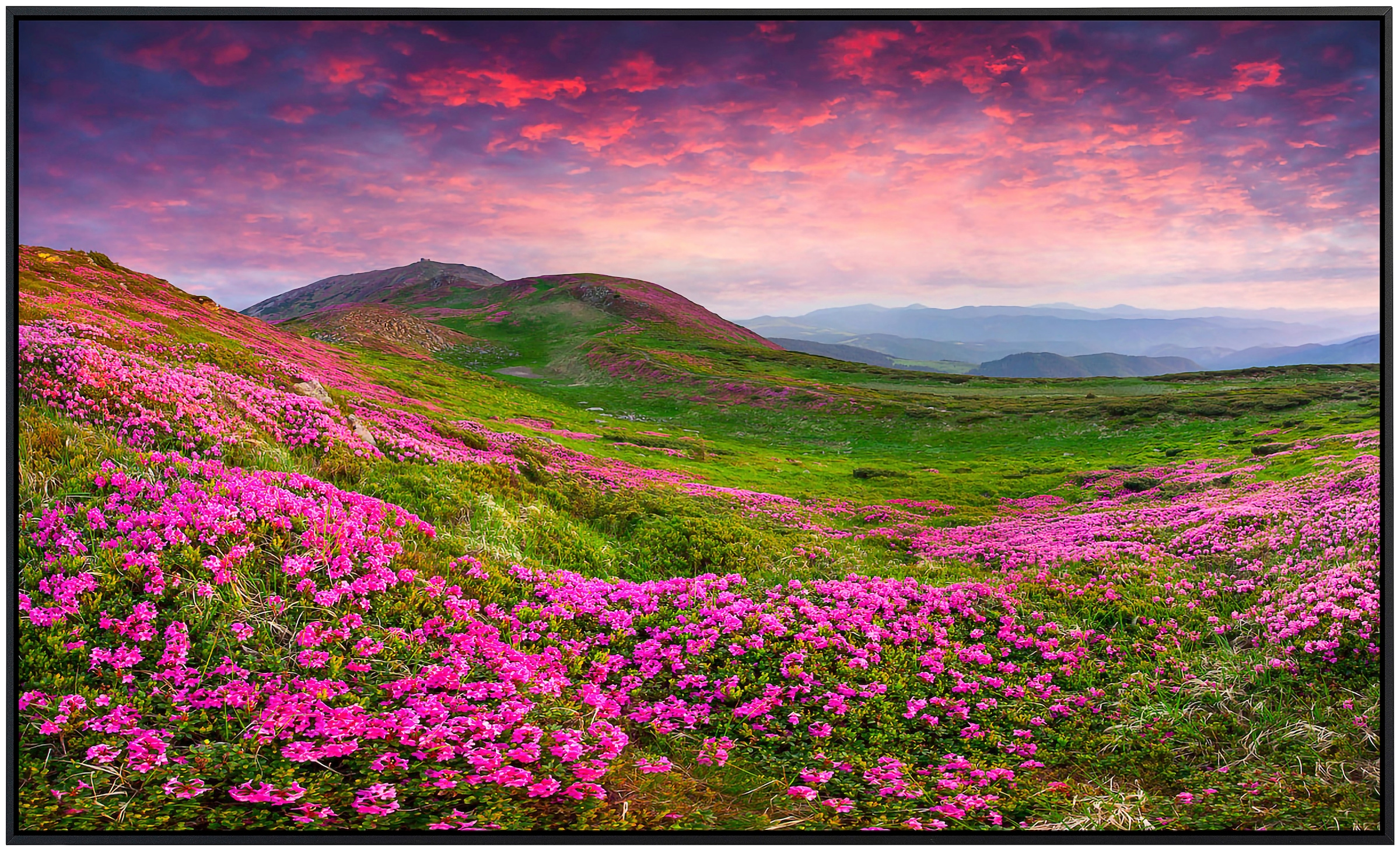 Papermoon Infrarotheizung »Rhododendron Blumen«, sehr angenehme Strahlungswärme