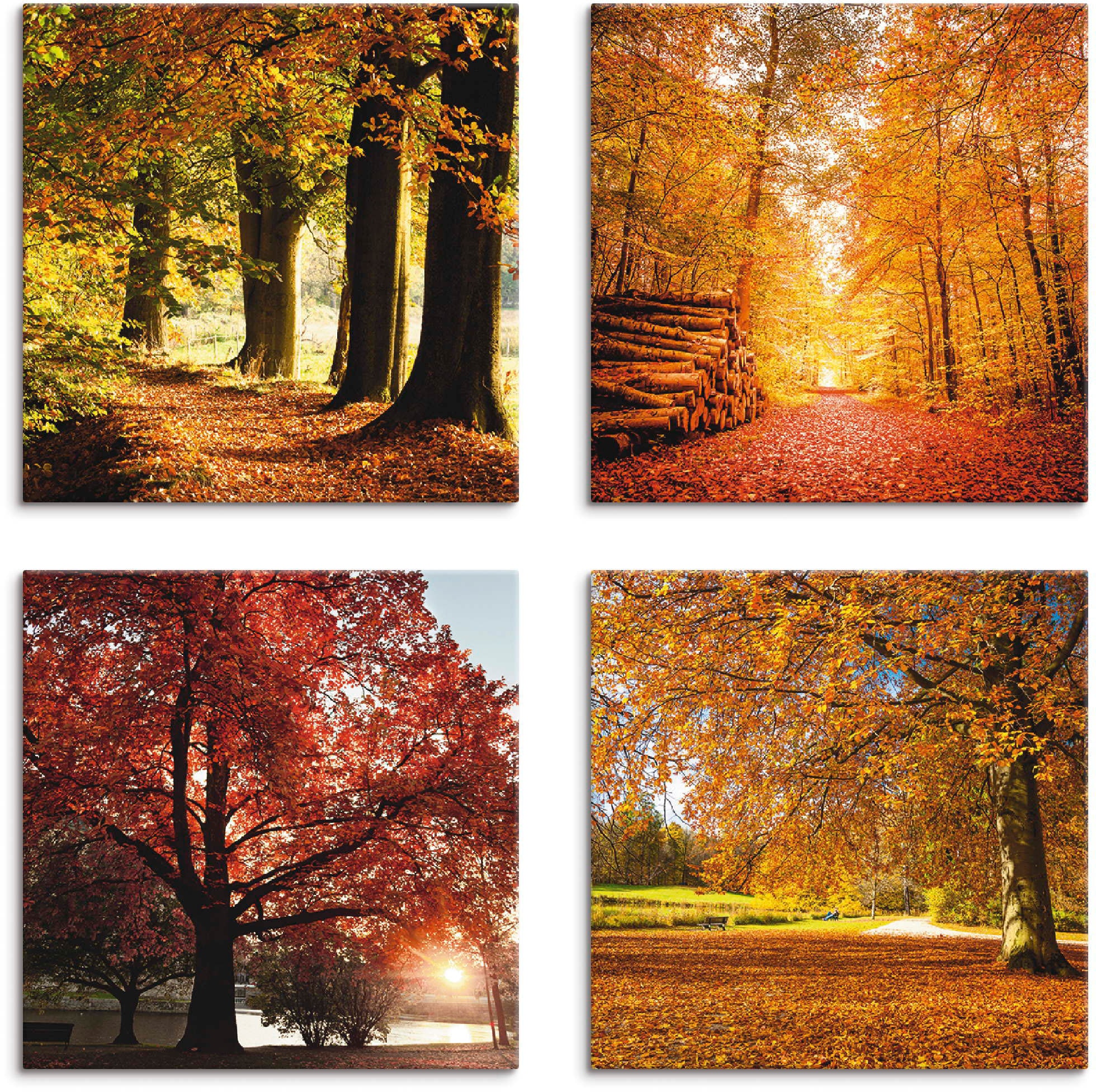 Artland Leinwandbild "Herbstlandschaft" Bäume 4 Stk. tlg. 4er Set, verschie günstig online kaufen