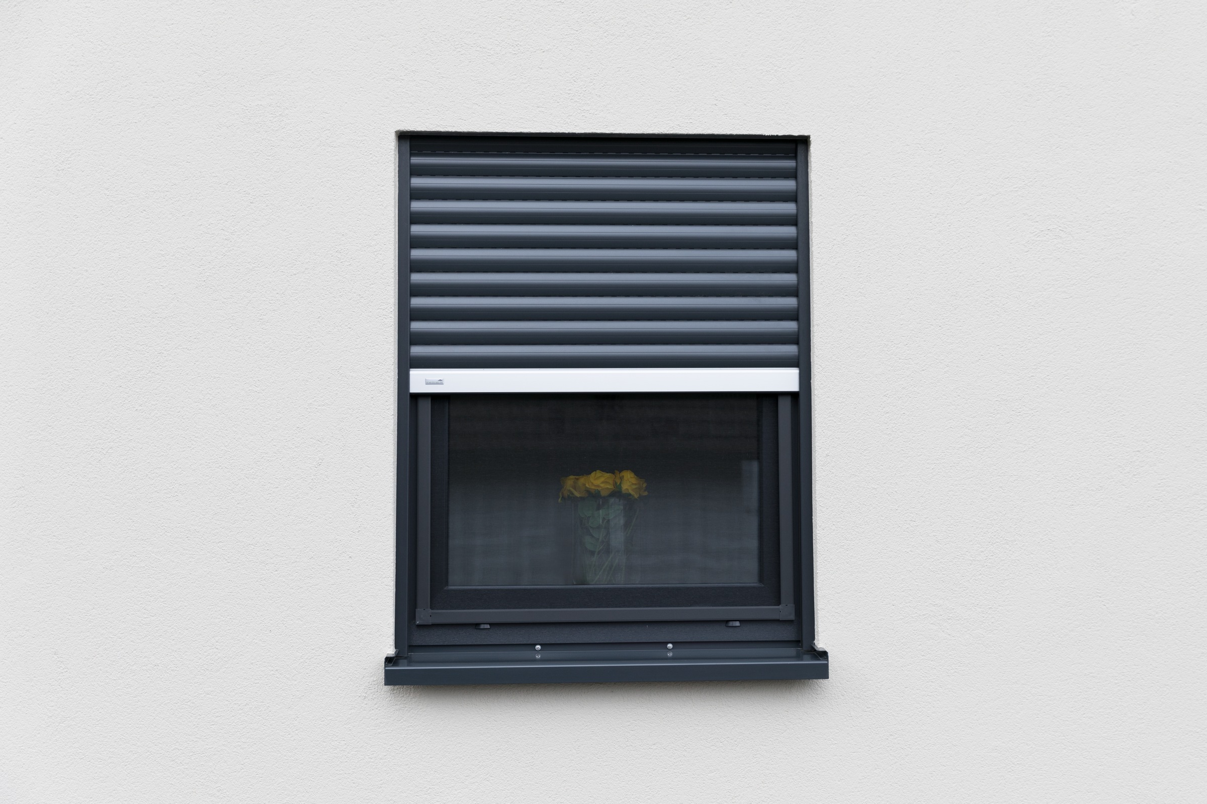 SCHELLENBERG Insektenschutz-Fensterrahmen »Fliegengitter Fenster Premium«, mit Rahmen aus Aluminium in anthrazit und weiß, 140 x 150 cm