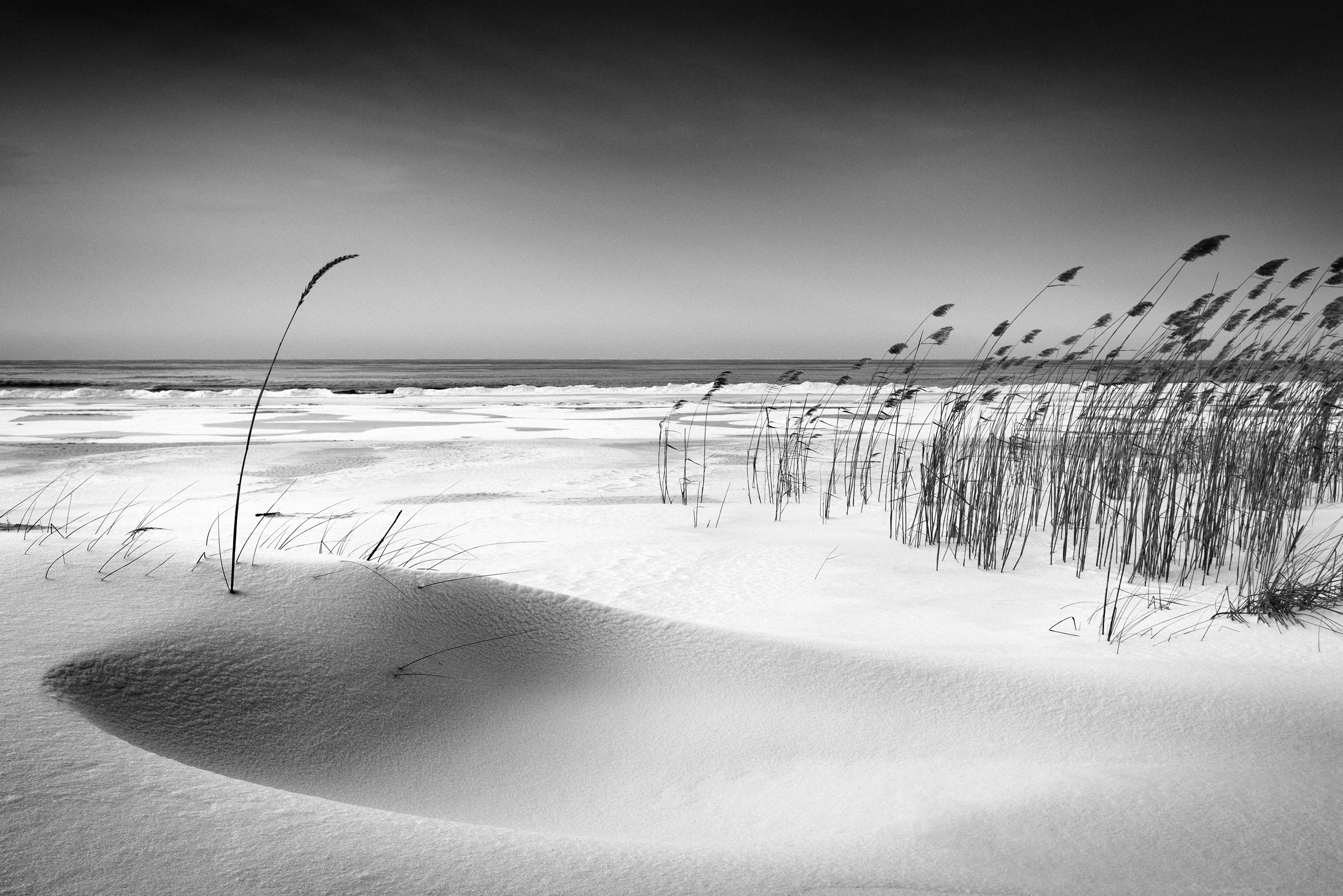 Papermoon Fototapete "Photo-Art REINIS CÄªRULIS, ORCHESTER" günstig online kaufen