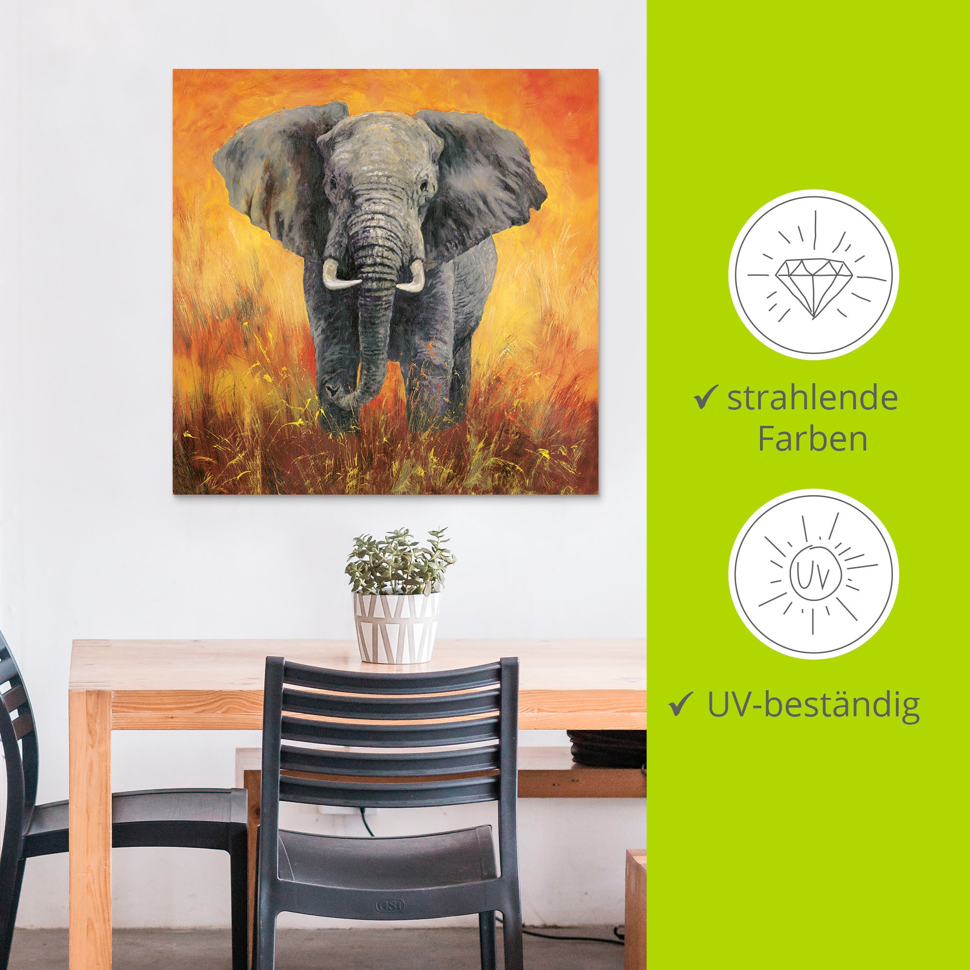 Artland Wandbild »Porträt Elefant«, Elefanten Bilder, (1 St.), als Alubild, Outdoorbild, Leinwandbild in verschied. Größen