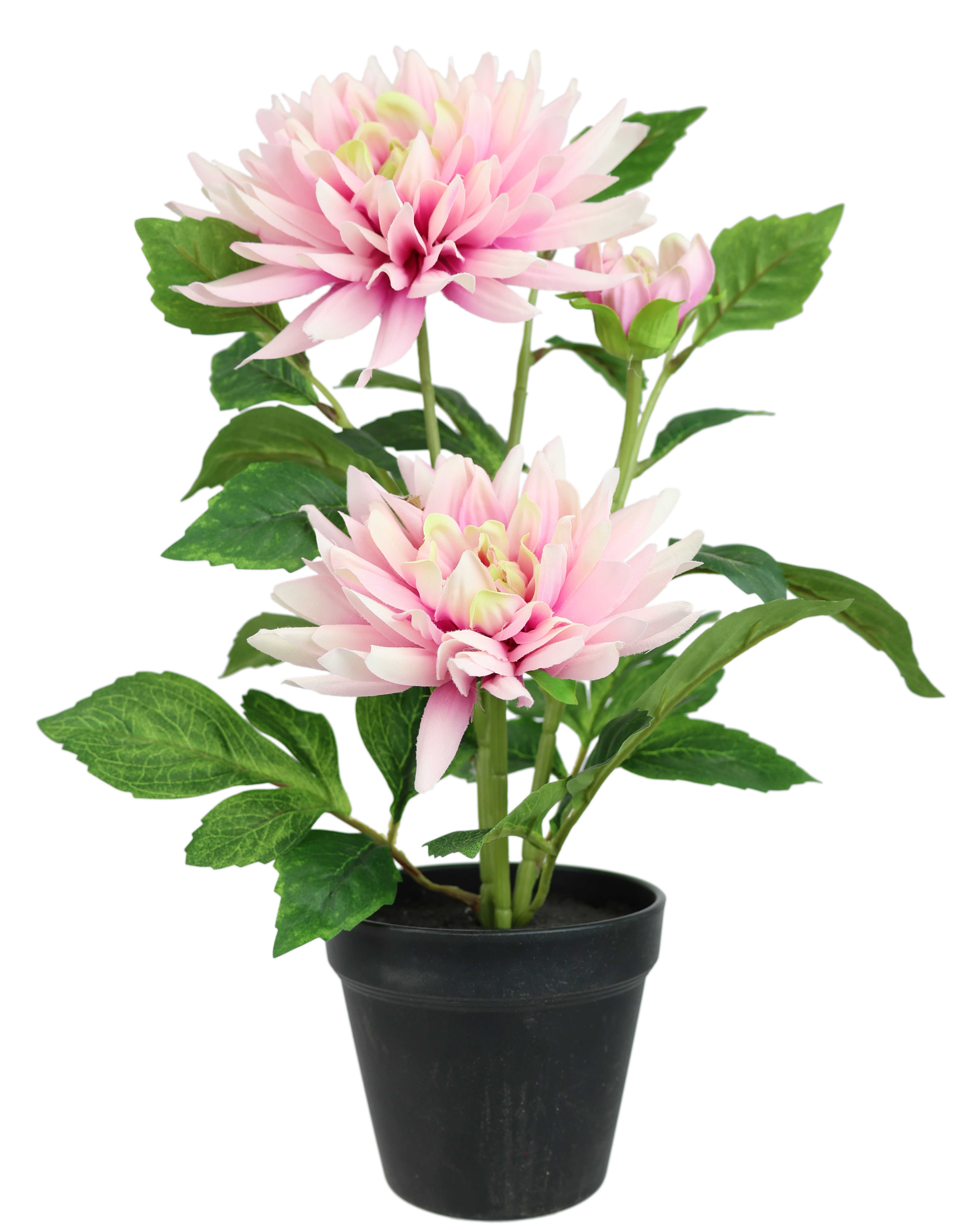 I.GE.A. Kunstblume "Chrysantheme im Topf 40cm" Kunstpflanze Pflanze Blume künstlich Deko Herbstdeko Seidenblume