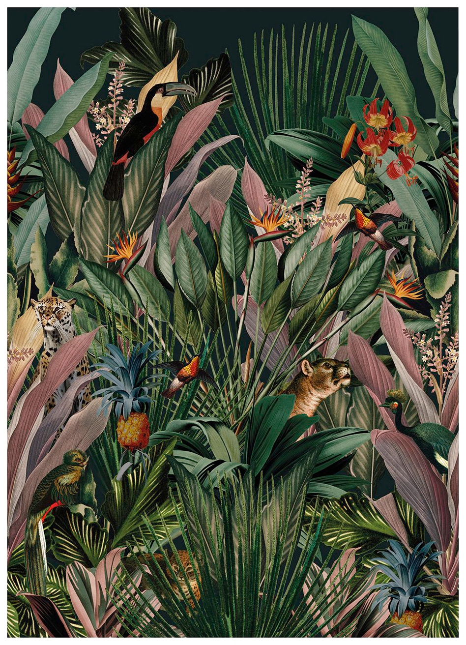 Superfresco Easy Fototapete "Aaliyah" botanisch glatt 280x200 cm