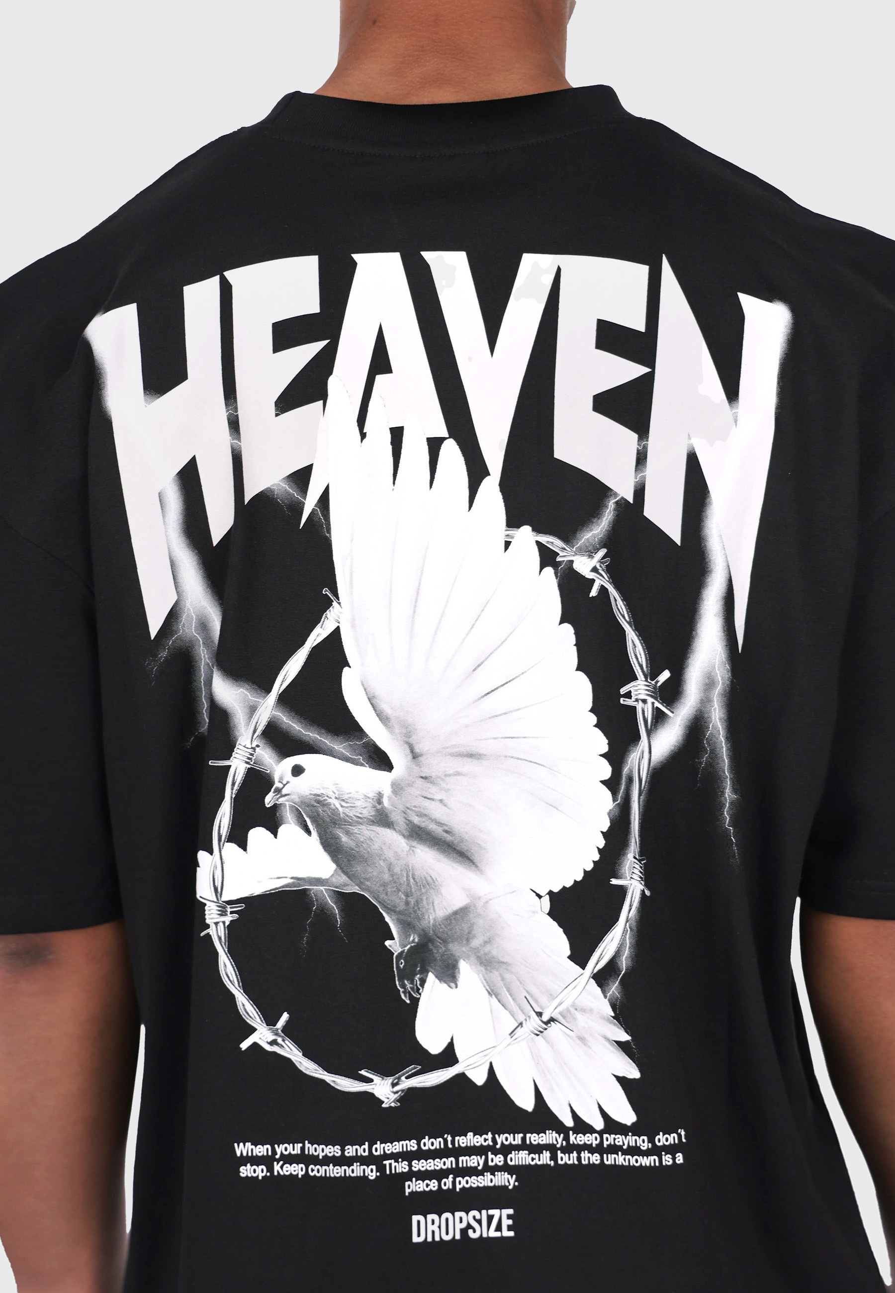 Dropsize T-Shirt »Dropsize HEAVY OVERSIZED HEAVEN DOVE T-SHIRT« 1 Stk.