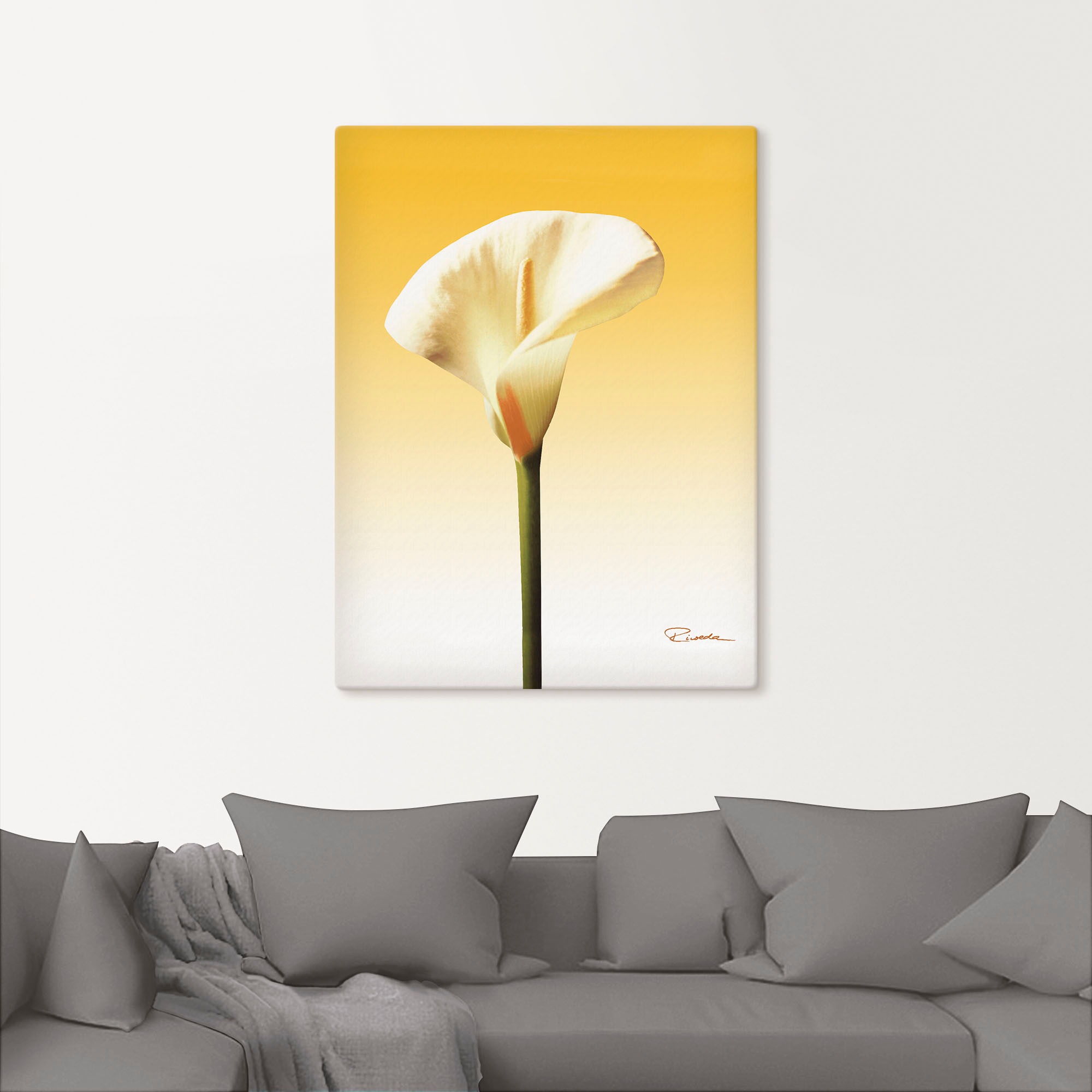 Artland Wandbild »Sonnenschein Calla II«, Blumenbilder, (1 St.), als Leinwandbild, Poster in verschied. Größen