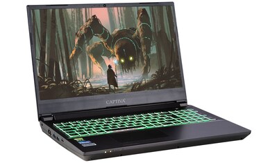 CAPTIVA Gaming-Notebook »Highend Gaming I66-913«, (39,6 cm/15,6 Zoll), AMD, Ryzen 5,... kaufen