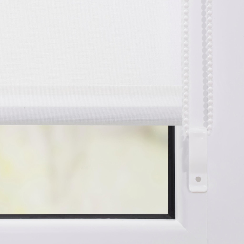 LICHTBLICK ORIGINAL Seitenzugrollo »Klemmfix Motiv Vogelbeeren«, Lichtschutz, ohne Bohren, freihängend, bedruckt