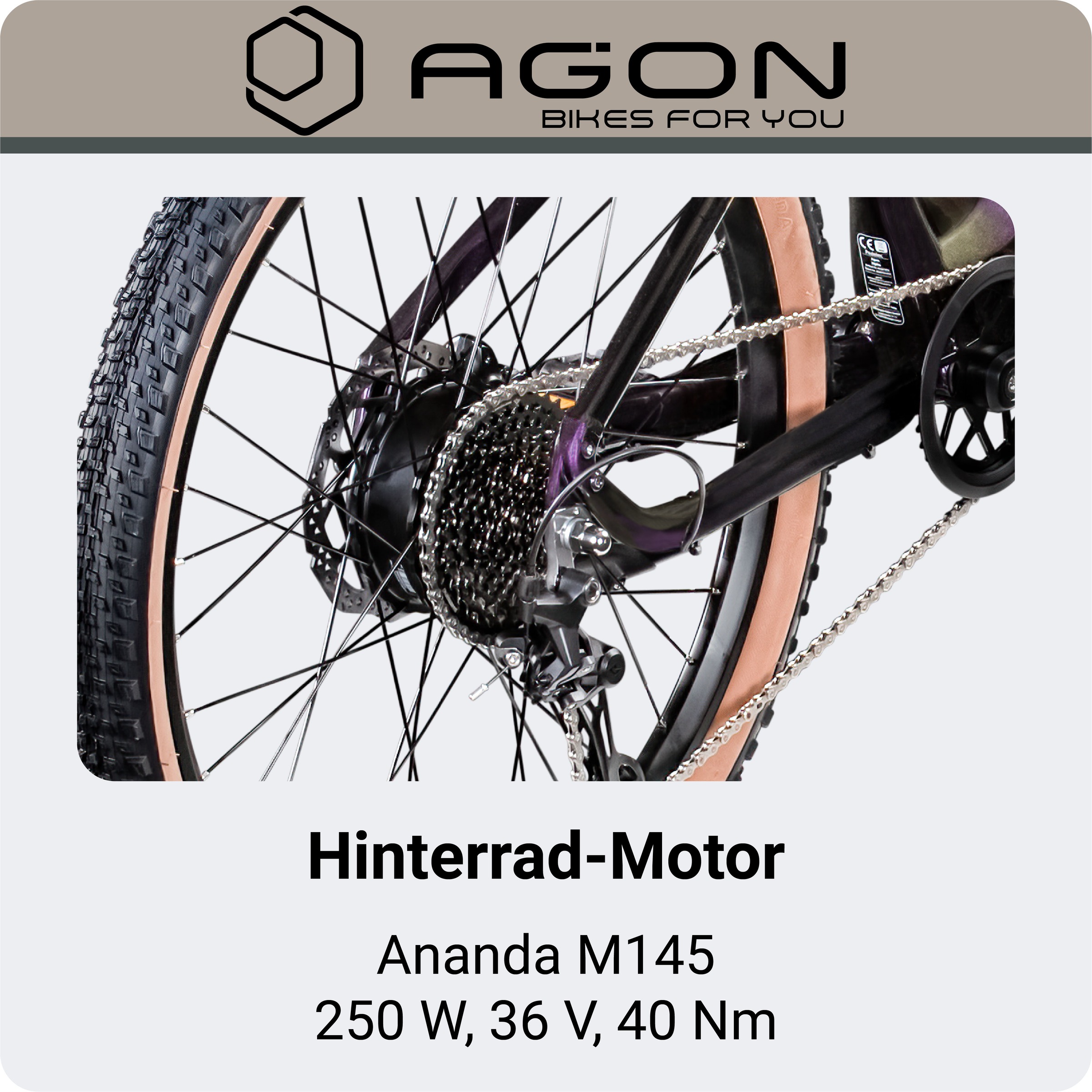 AGON »Alpha« 10 Gang Deore SGS T6000 Schaltwerk Kettenschaltung Heckmotor 250 W Pedelec, Elektrofahrrad für Damen u. Herren, MTB