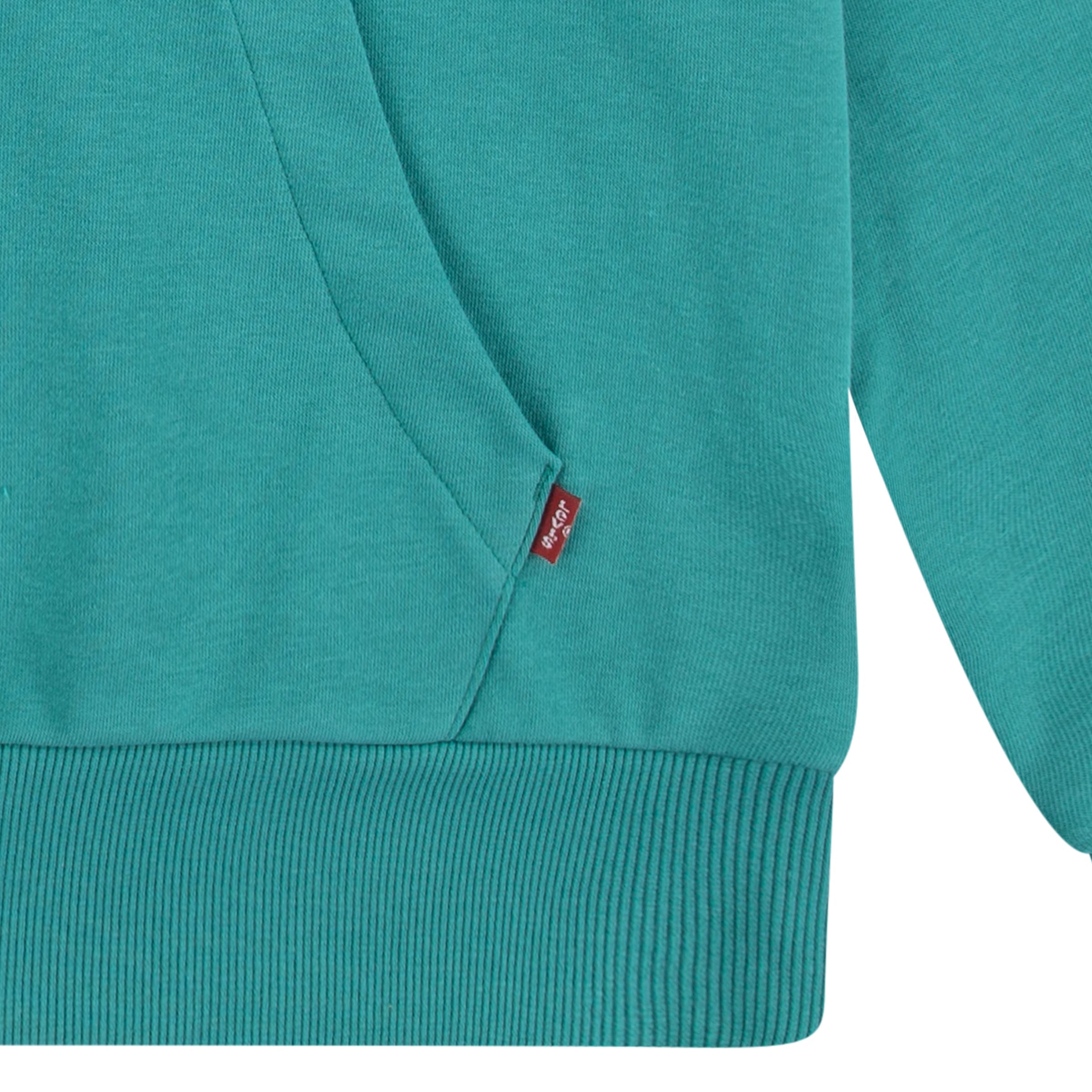Levi's® Kids Kapuzensweatshirt »LVB BATWING PULLOVER HOODIE«, for BOYS