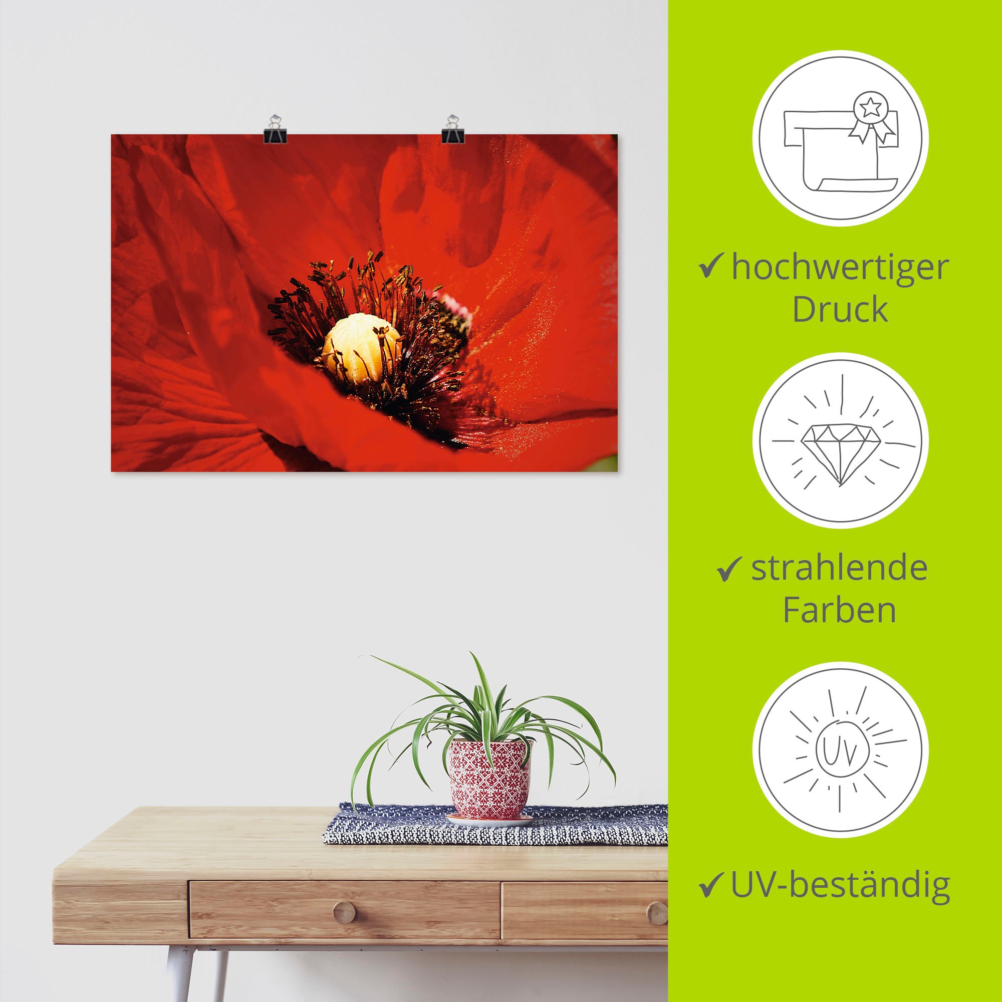 Artland Wandbild »Roter Mohn«, Blumen, (1 St.), als Alubild, Leinwandbild, Wandaufkleber oder Poster in versch. Größen