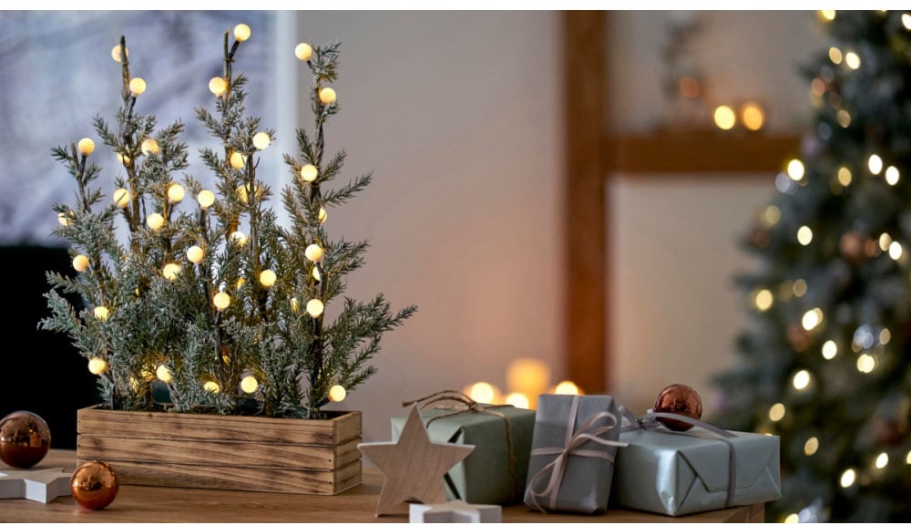 Schneider LED Baum »Tannenbäumchen«, im dekorativen Blumenkasten, Weihnachtsdeko