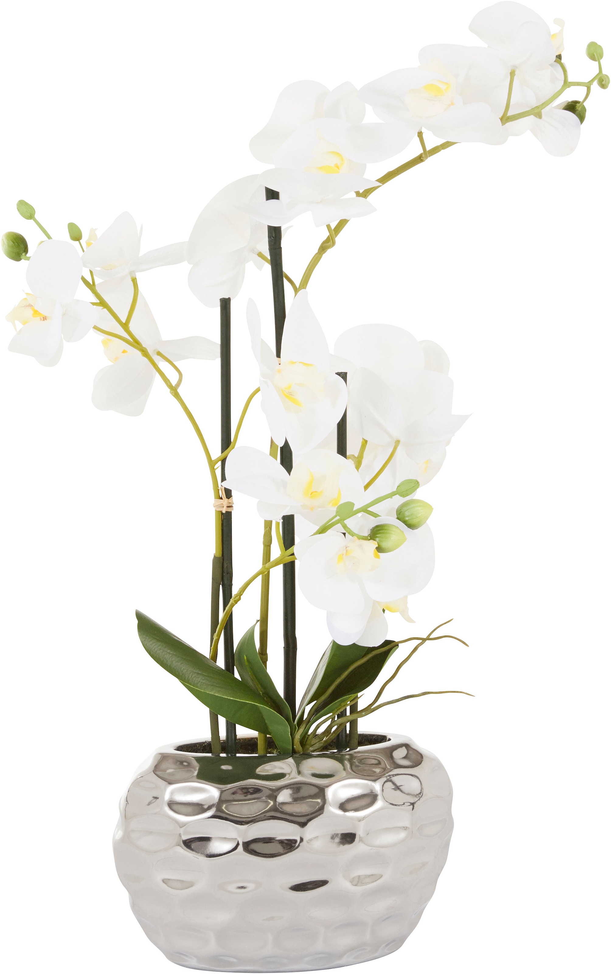 bestellen Kunstpflanze Kunstorchidee, Leonique im »Orchidee«, | Topf BAUR