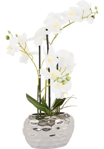 Kunstpflanze »Orchidee«