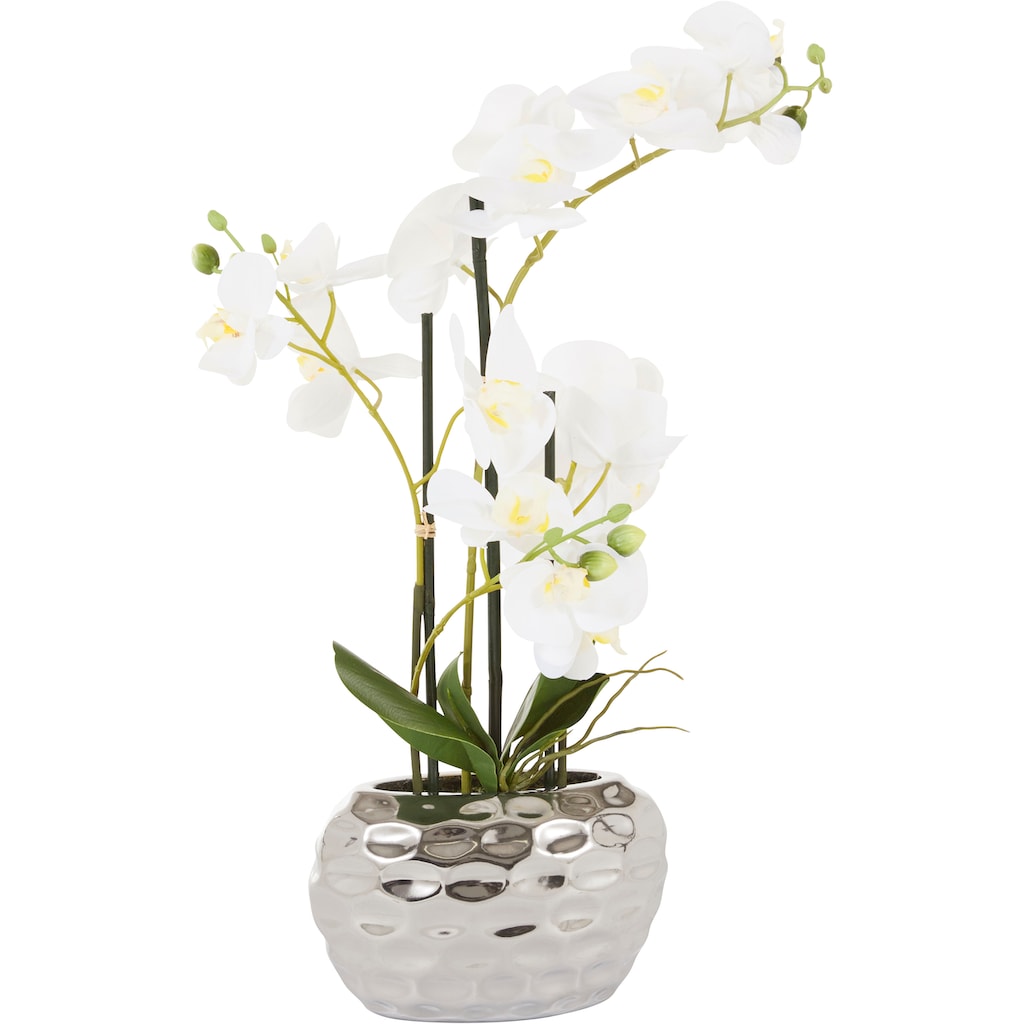 Leonique Kunstpflanze »Orchidee«