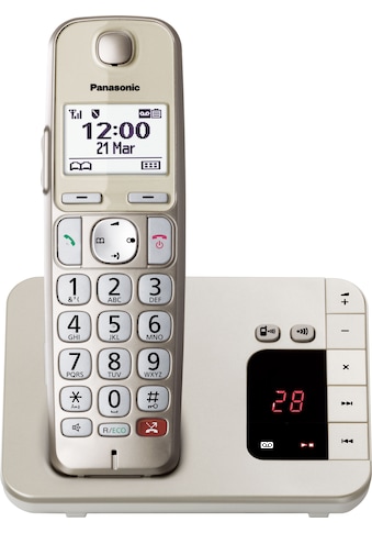 Panasonic DECT-Telefon »KX-TG260GN« (Mobilteile:...