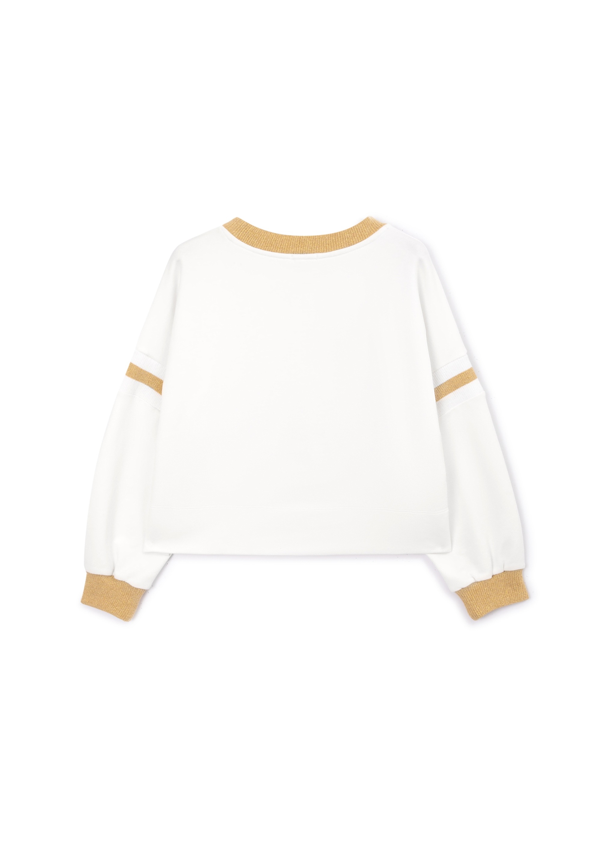 Gulliver Sweatshirt, mit Frontdruck