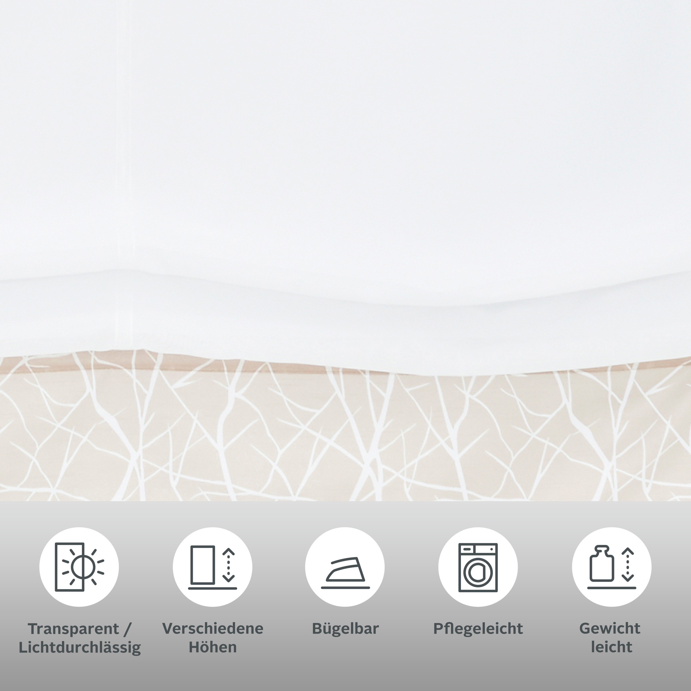 my home Raffrollo "Camposa" mit Schlaufen Transparent, Voile, Polyester günstig online kaufen