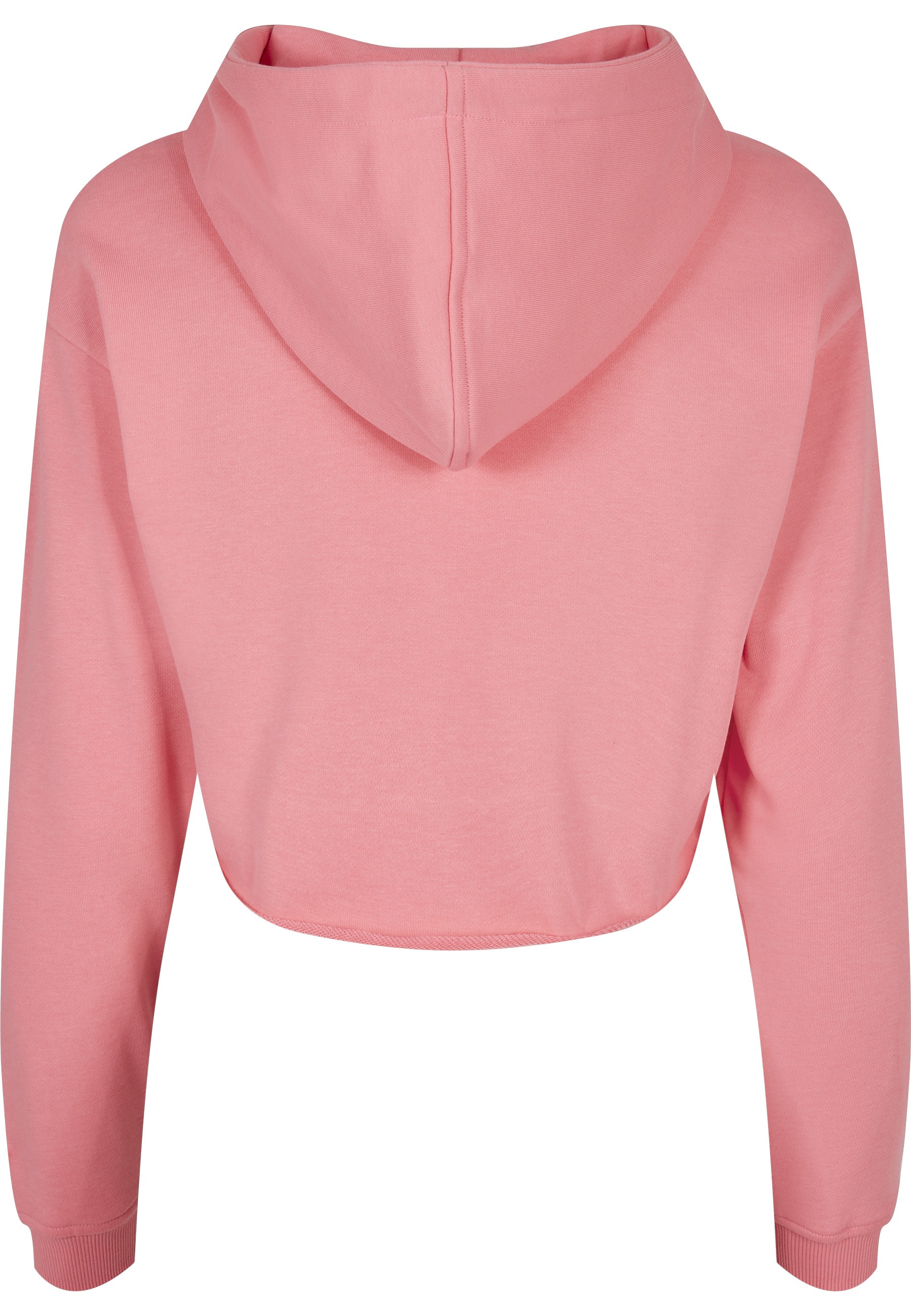 Starter Black Label Rundhalspullover »Starter Black Label Damen Ladies Starter Cropped Hoody« 1 Stk.