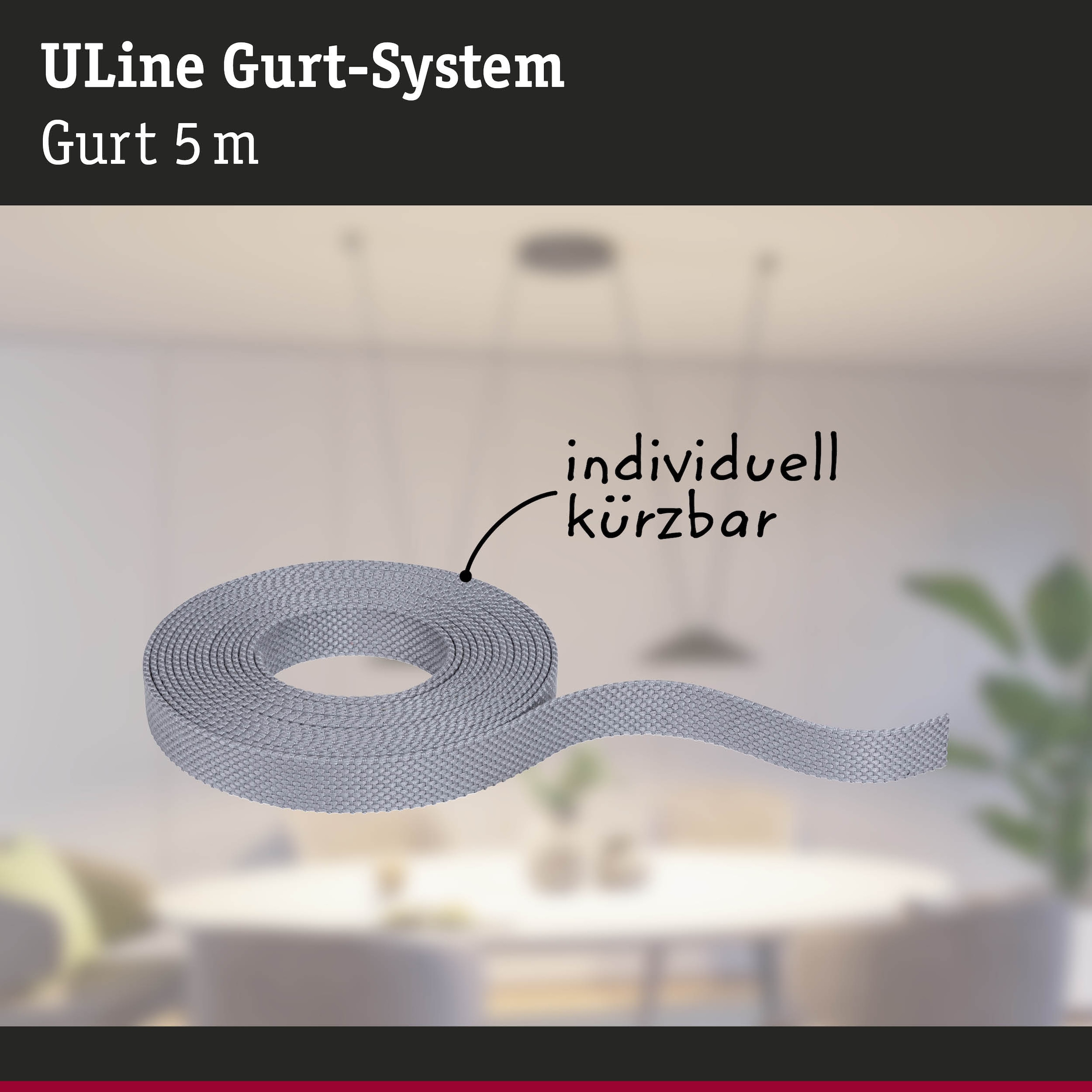 Paulmann Hängeleuchte »ULine Gurt Belt  5m« 1 Stk.