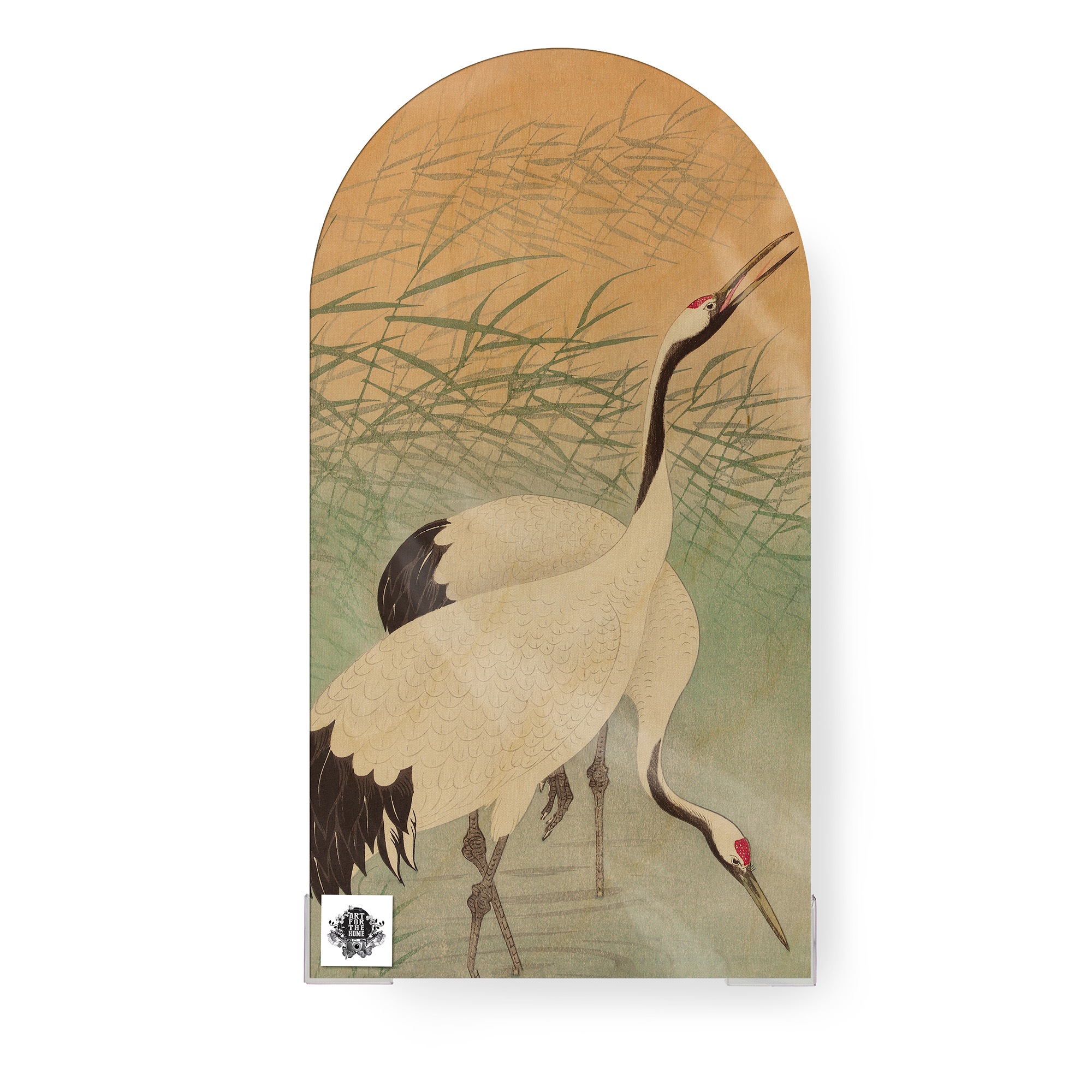 Art for the home Leinwandbild »Kranich«, (1 St.)