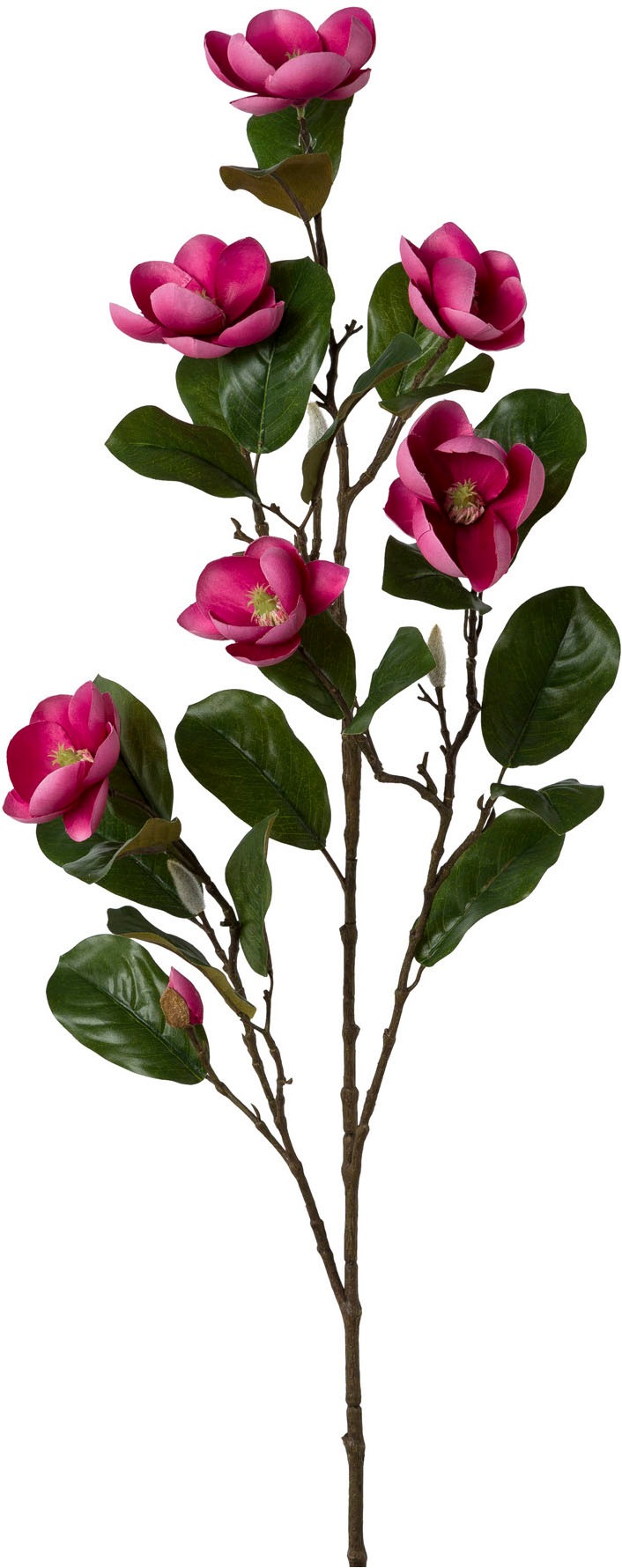 Creativ green Kunstblume »Magnolienzweig« su zauberh...