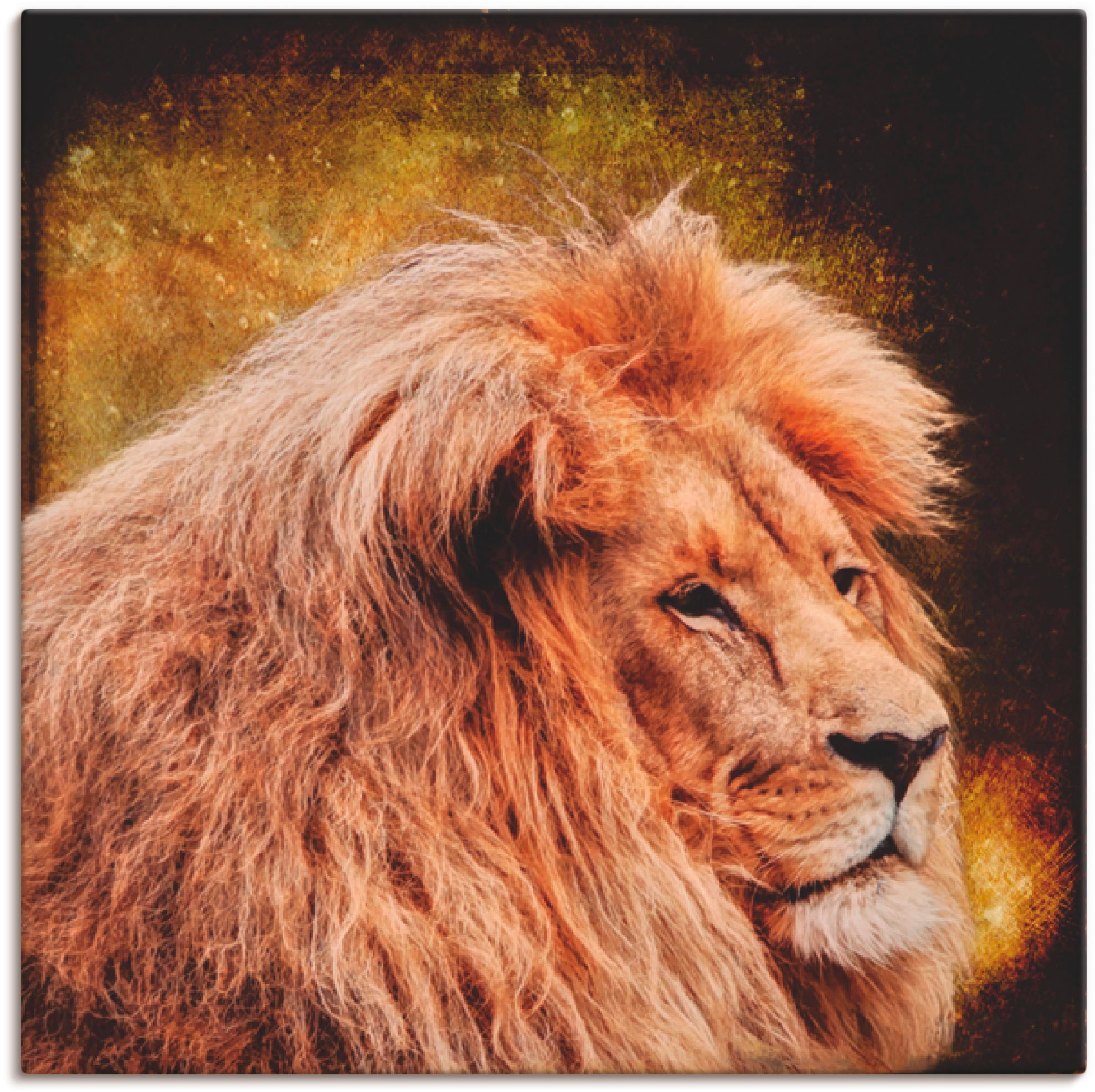 Artland Wandbild »Löwe«, Wildtiere, (1 als St.), | in Poster BAUR Wandaufkleber versch. Leinwandbild, oder Größen bestellen
