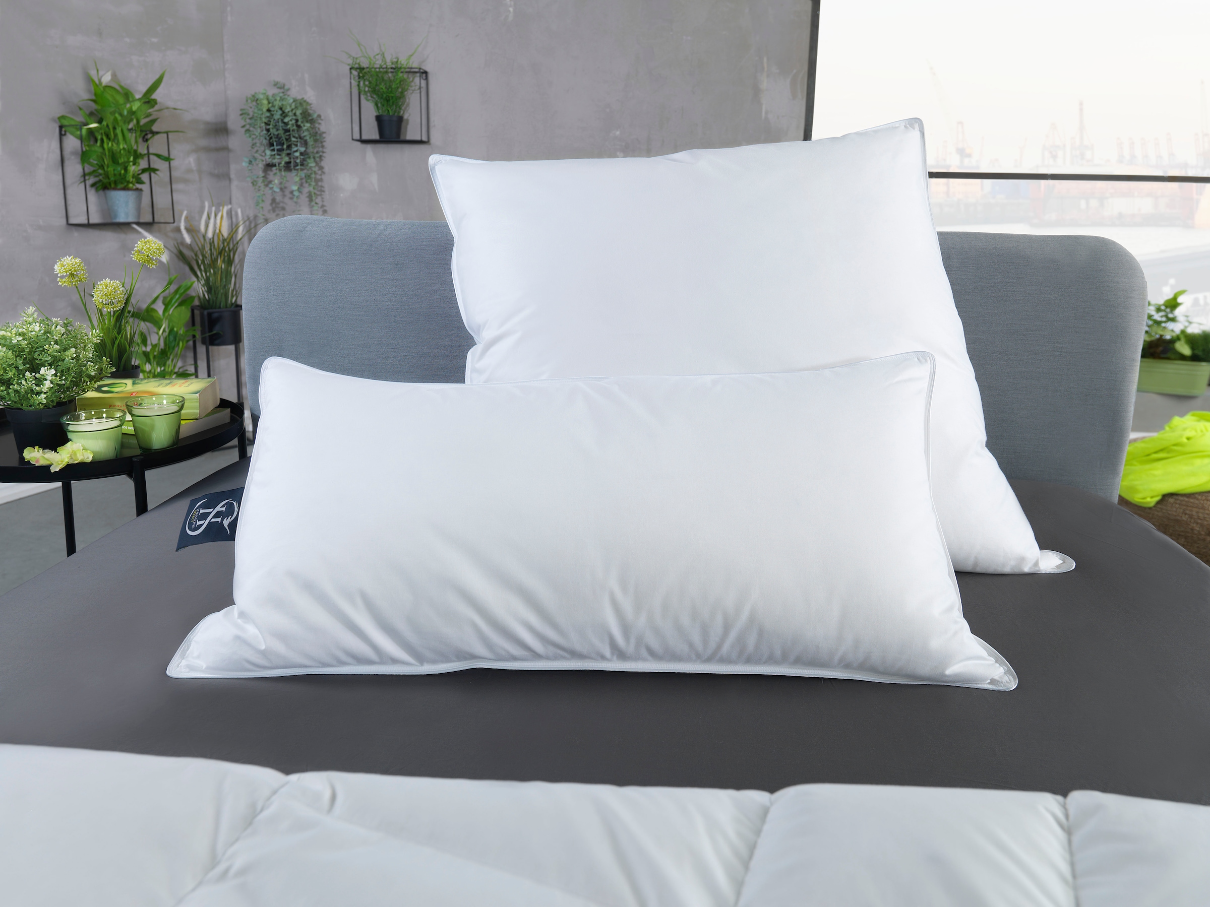 Haeussling Federkissen "Häussling Select - Made in Green" Füllung: weiße ne günstig online kaufen