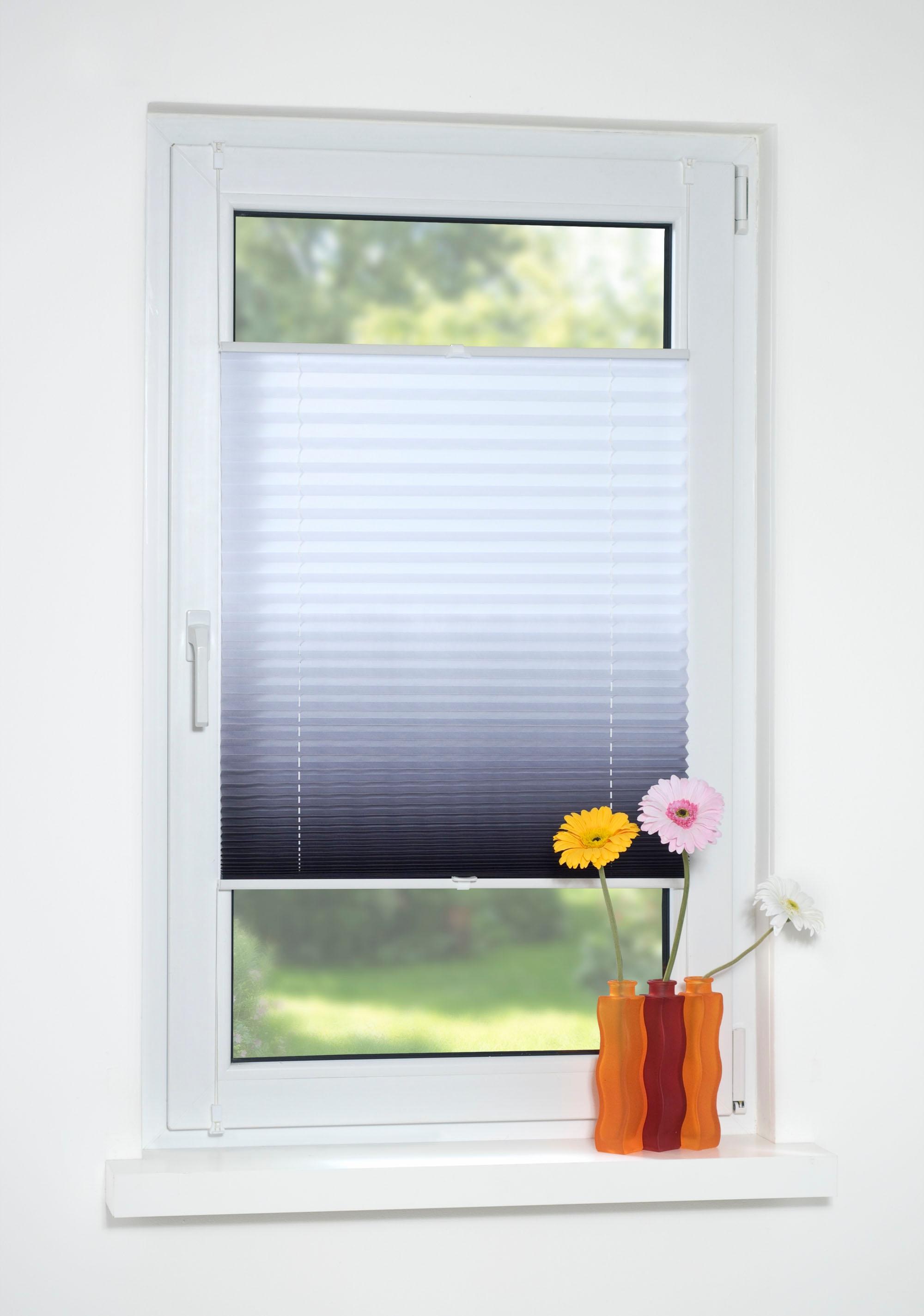 Liedeco Plissee "Farbverlauf" Lichtschutz ohne Bohren verspannt günstig online kaufen