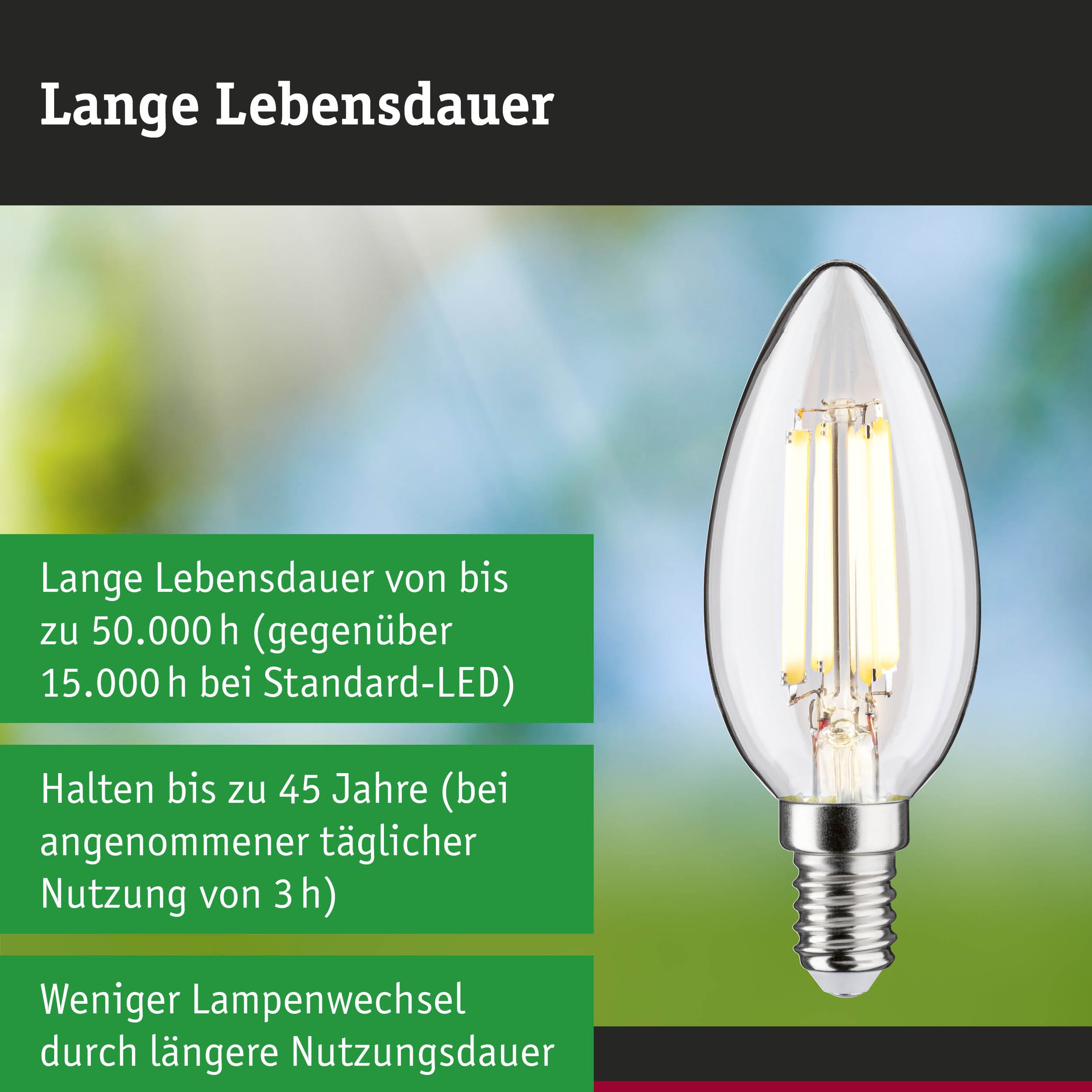 Paulmann LED-Leuchtmittel »Efficient-Line Filament 230V LED Kerze E14 3 St. 525lm 2,5W 3000K Klar« E14 3 Stk. Warmweiß