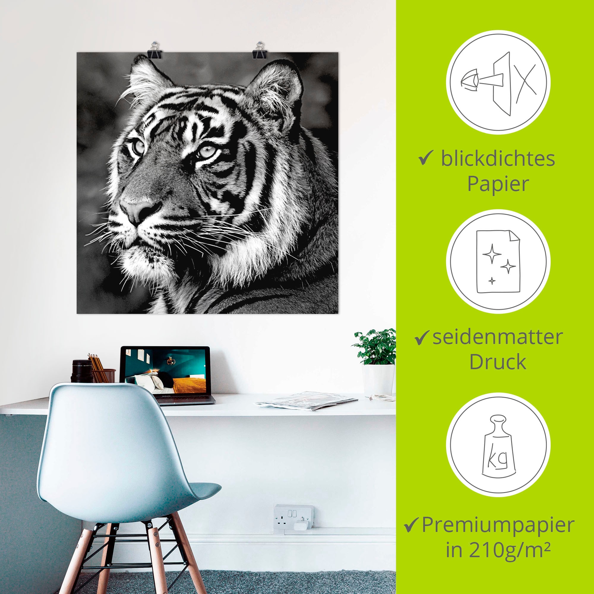 Artland Wandbild »Tiger«, Wildtiere, (1 St.), als Leinwandbild, Poster, Wandaufkleber in verschied. Größen