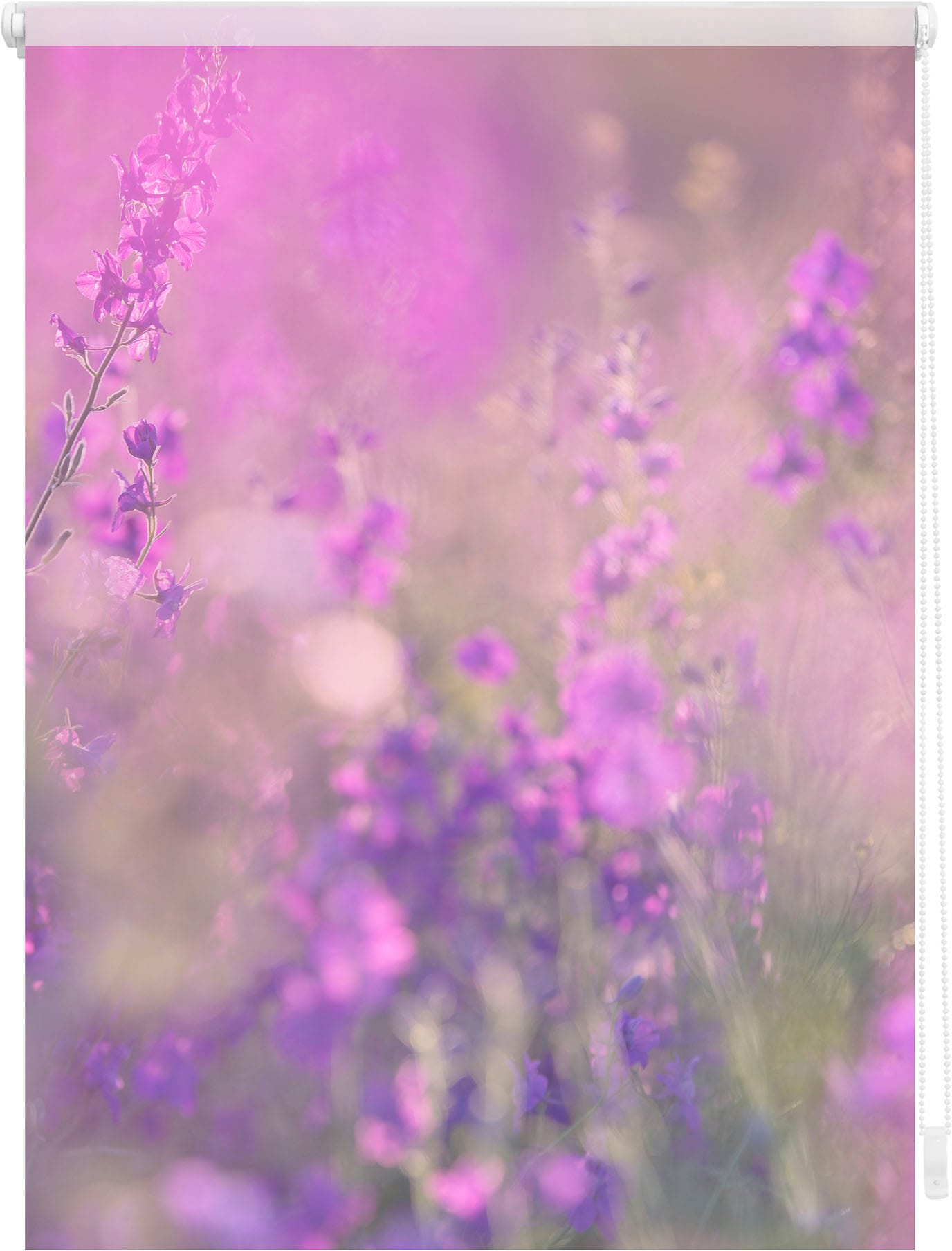 LICHTBLICK ORIGINAL Seitenzugrollo "Klemmfix Motiv Blumenwiese" Lichtschutz günstig online kaufen
