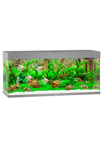 JUWEL AQUARIEN Akvariumas »Rio 240 LED« BxTxH: 121x41...