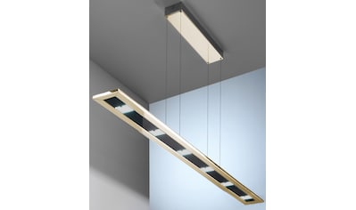 EVOTEC LED Pendelleuchte »DESIGNLINE«, LED-Board, Warmweiß-Neutralweiß-Tageslichtweiß,... kaufen