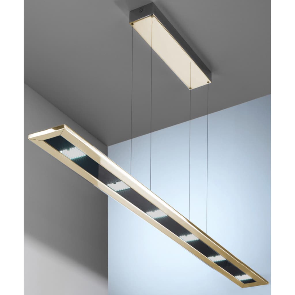 EVOTEC LED Pendelleuchte »DESIGNLINE«, 6 flammig-flammig