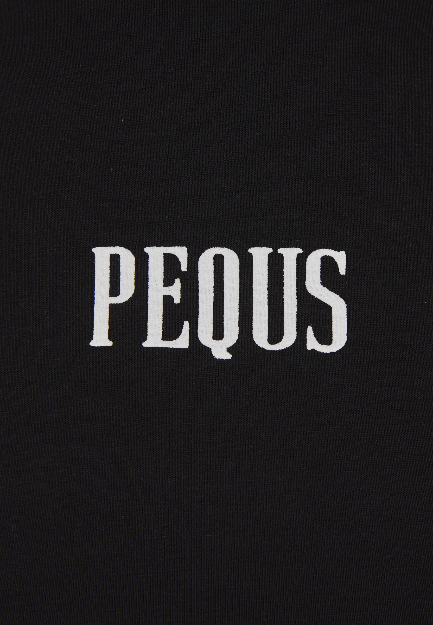 PEQUS Shirttop »PEQUS PEQUS A Paradise Beach Club Graphic Top«