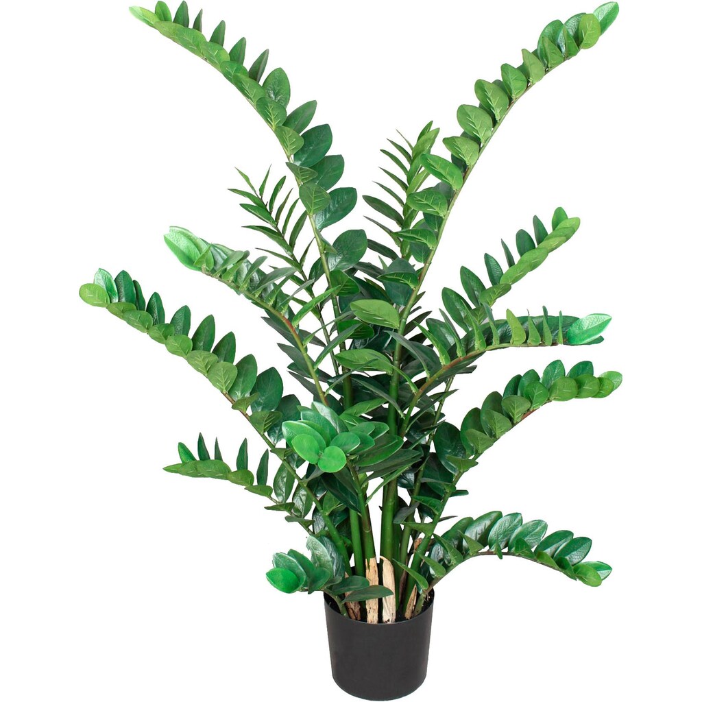 Creativ green Kunstpflanze »Zamifolia«, (1 St.)