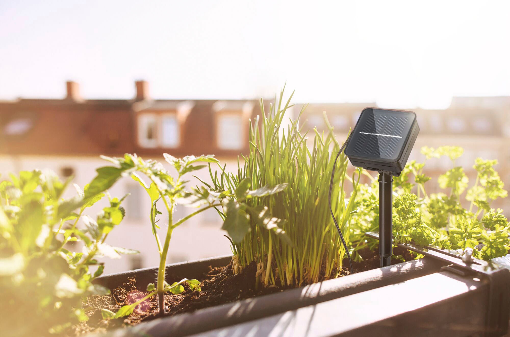 Paulmann LED-Streifen »Solar mit Dämmerungssensor IP44 3m RGB 0,3W Schwarz«, 1 St.-flammig