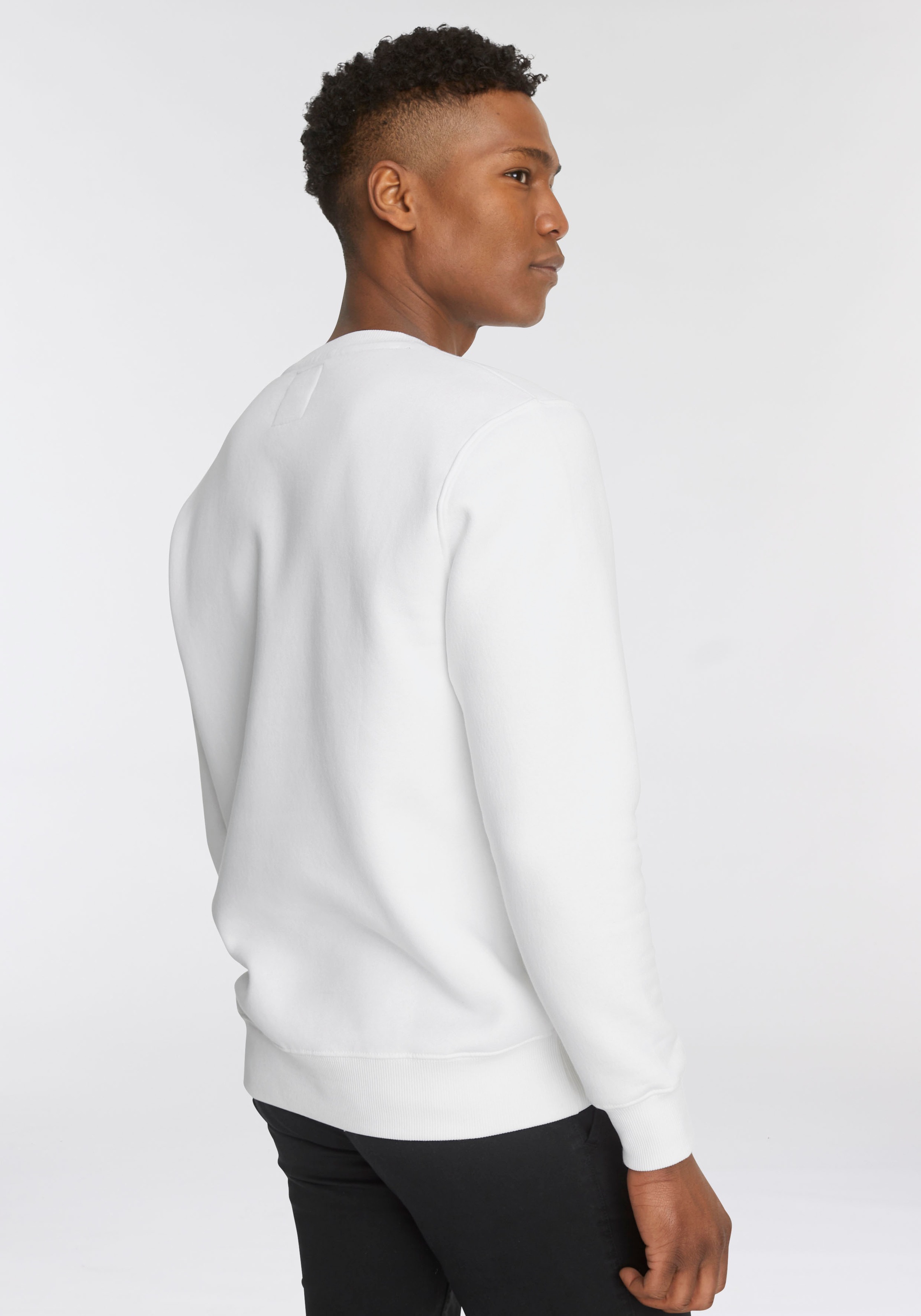 Alpha Industries "Basic Sweater", Baumwollmischung, regular fit günstig online kaufen