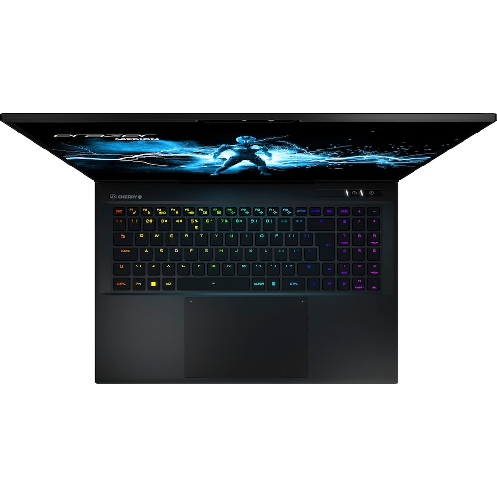 Medion® Gaming-Notebook »ERAZER Beast X40«, 43,2 cm, / 17 Zoll, Intel, Core i9, GeForce RTX 4080, 1000 GB SSD