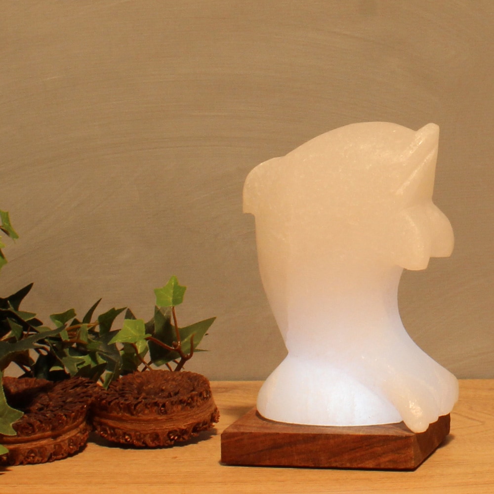 HIMALAYA SALT DREAMS Salzkristall-Tischlampe »Delfin«, Handgefertigt aus  Salzkristall - jeder Stein ein Unikat, H: ca.15 cm kaufen | BAUR