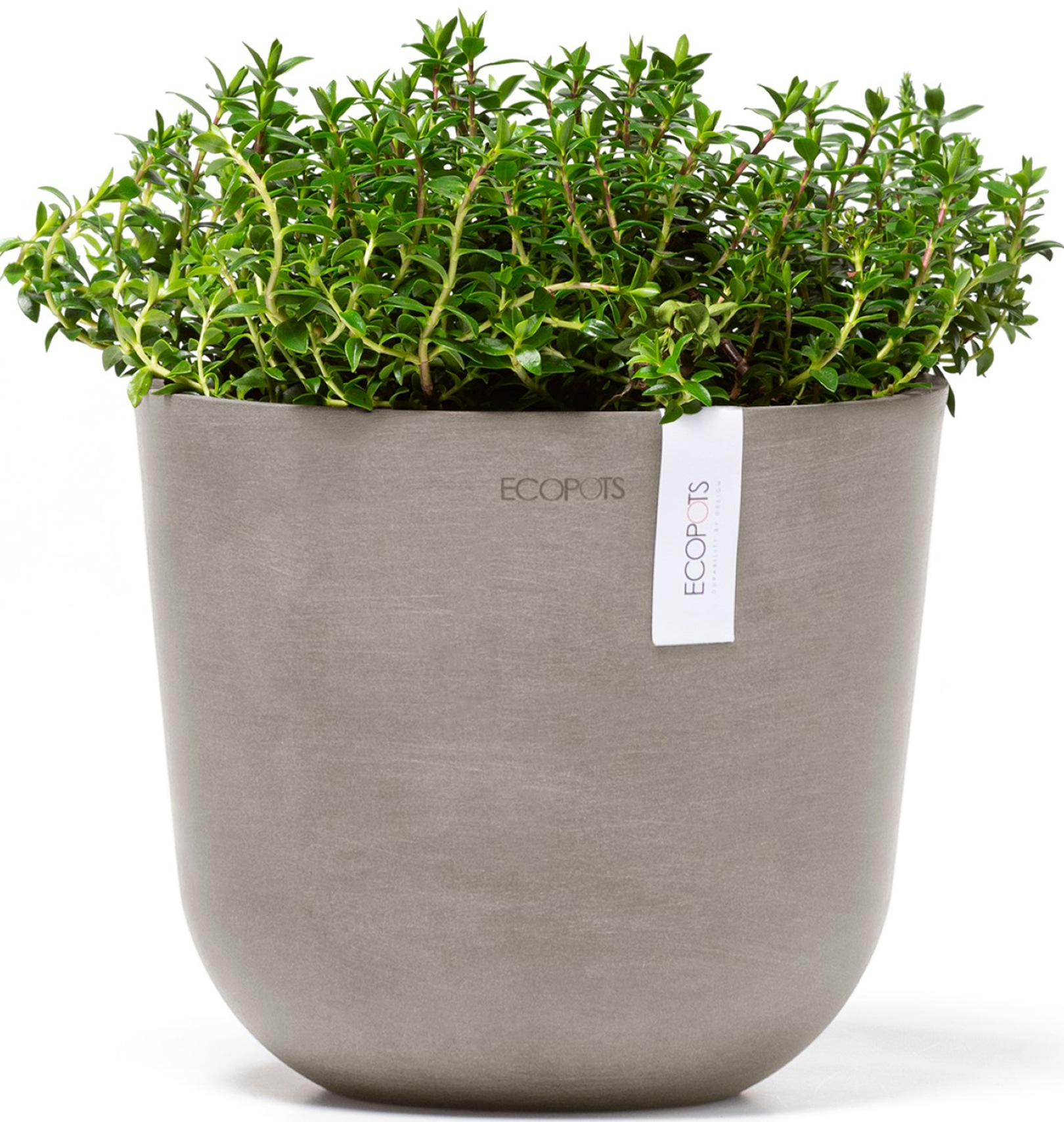 ECOPOTS Blumentopf "Oslo 19 Taupe", für den Innenbereich günstig online kaufen