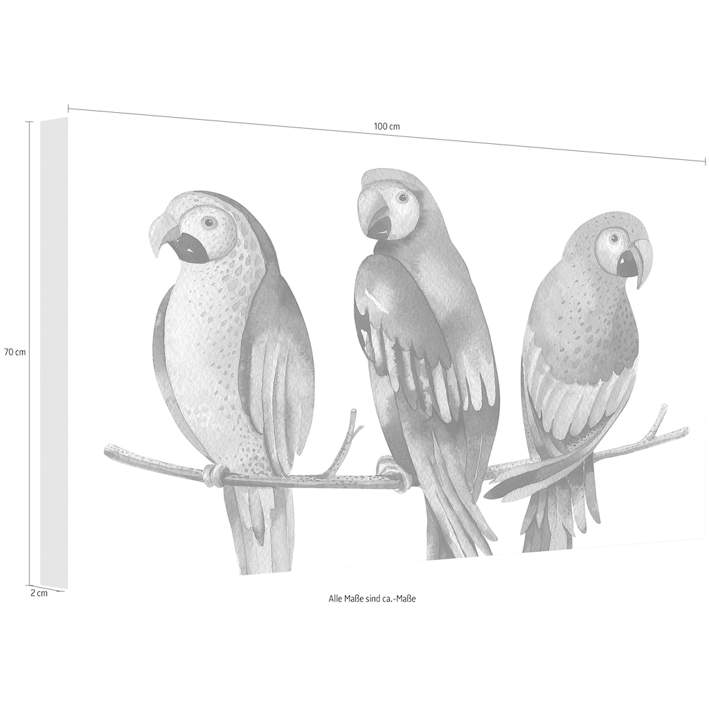 Wall-Art Leinwandbild »Kvilis - Bunte Papageien«