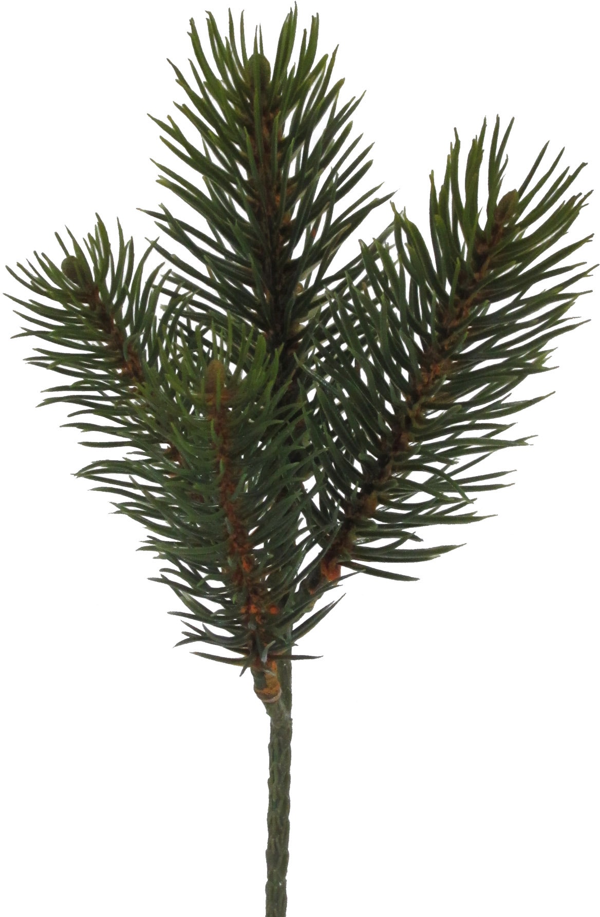 Creativ green Winterliche Kunstpflanze »Weihnachtsdeko«, Zweig benadelt, 24 Stück im Set