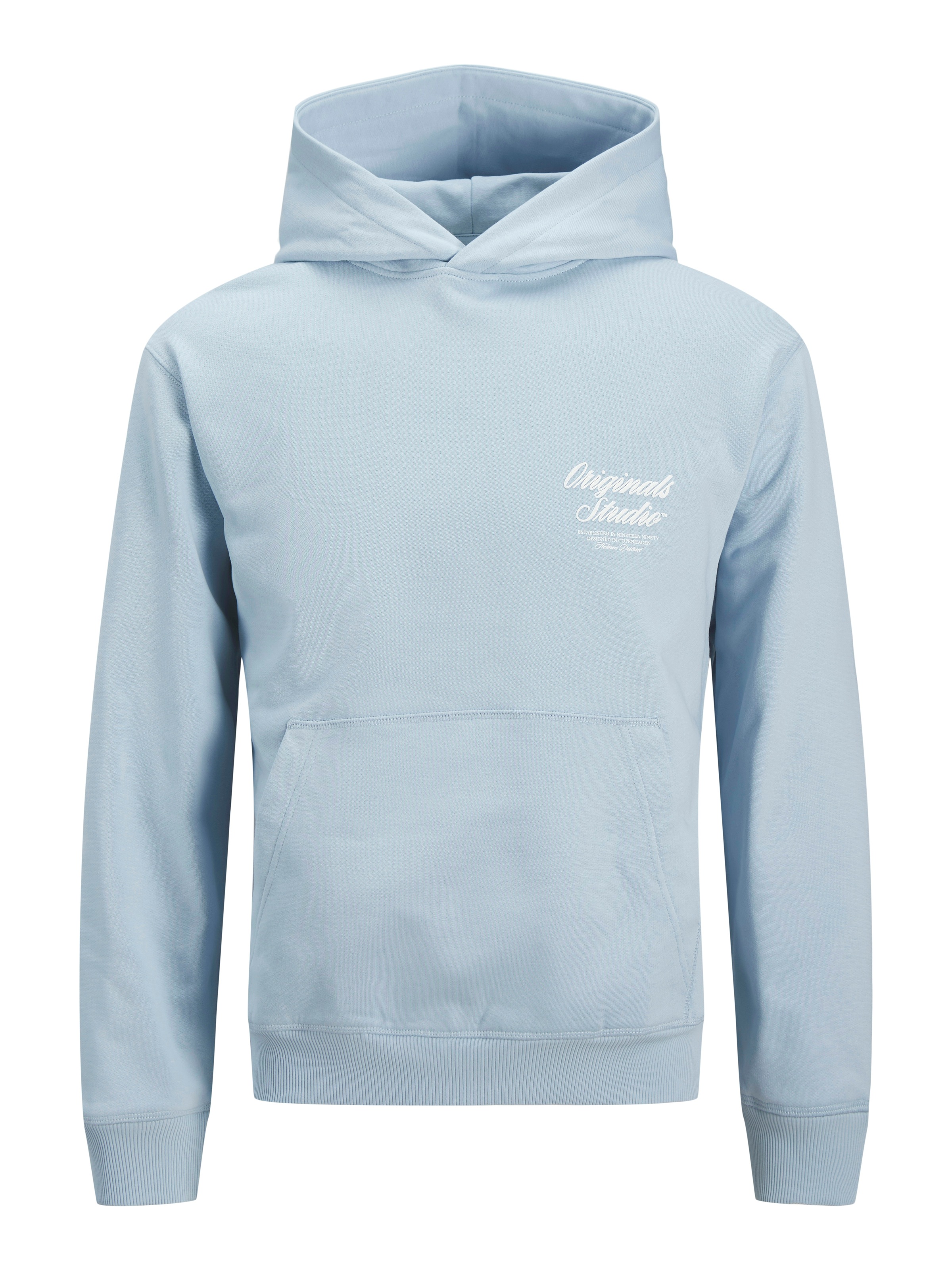 Jack & Jones Kapuzensweatshirt »JORNORREBRO TYPO BACK SWEAT HOOD SN«, mit Print
