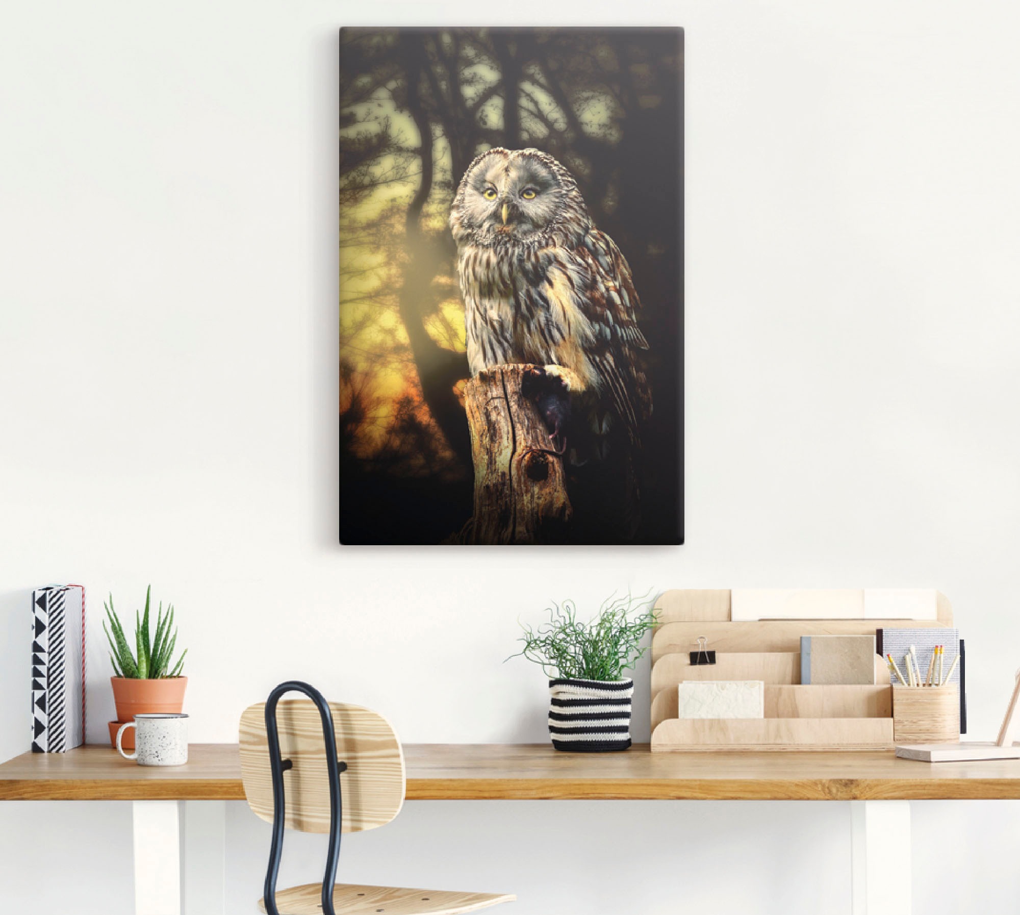 Artland Wandbild »Eule«, Vögel, (1 St.), als Alubild, Outdoorbild, Leinwandbild, Poster in verschied. Größen